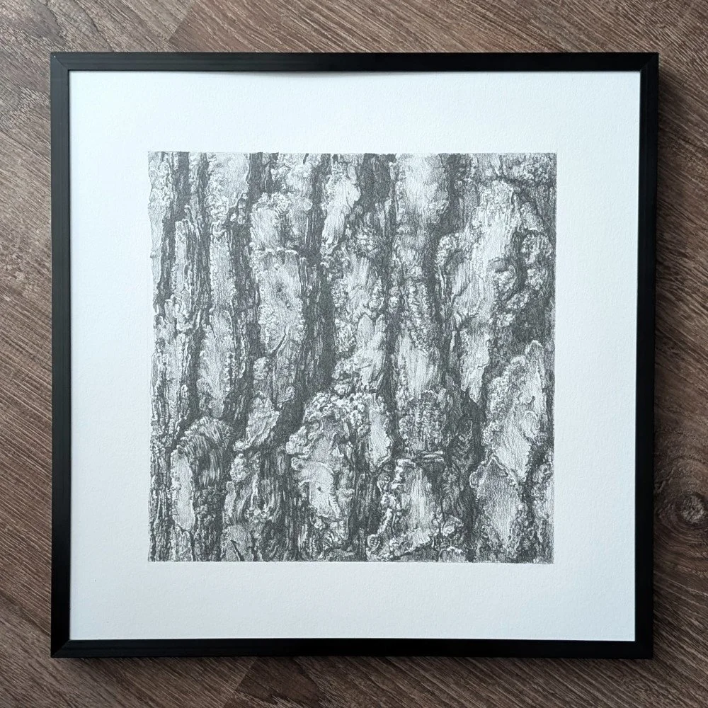 Pine_Bark_1_frame_1x1.jpg