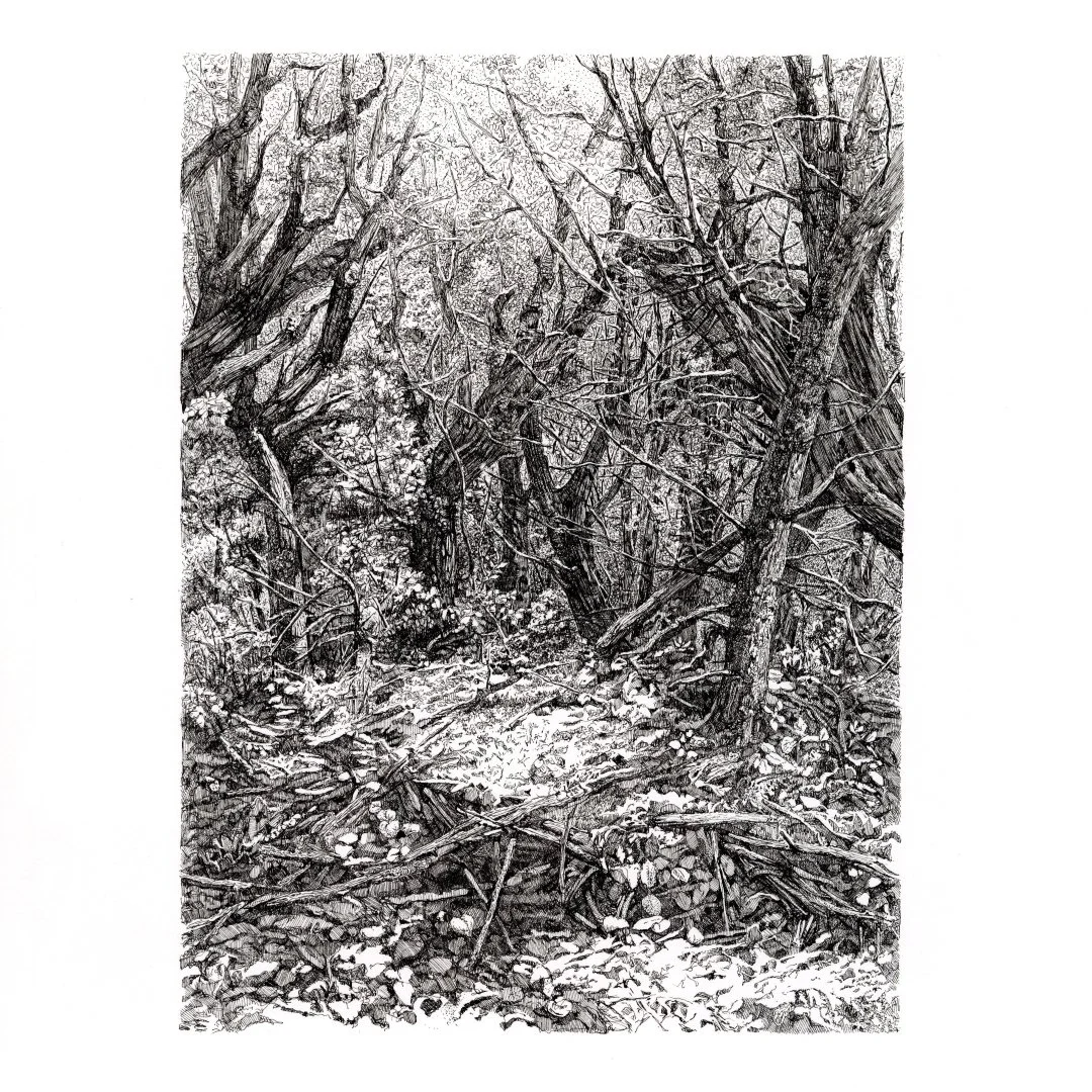 forest_interiors_1_1x1_1080.jpg