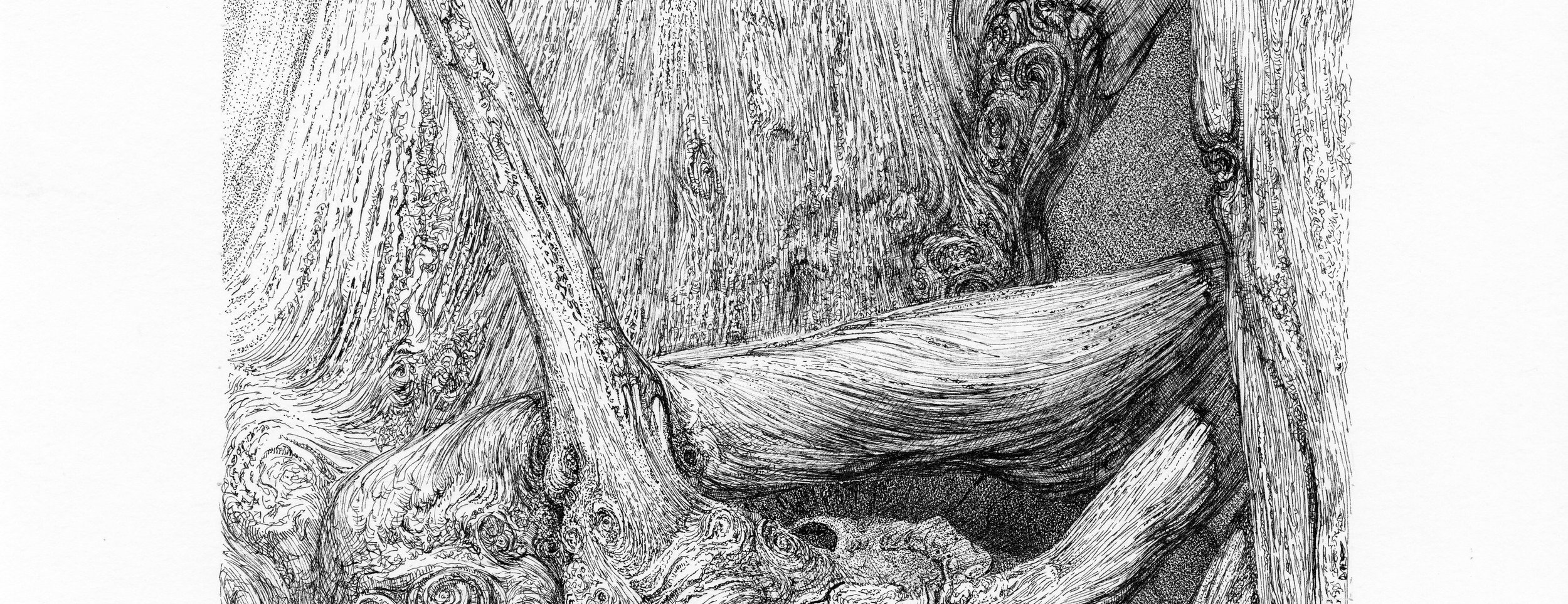 DryTree-2.jpg