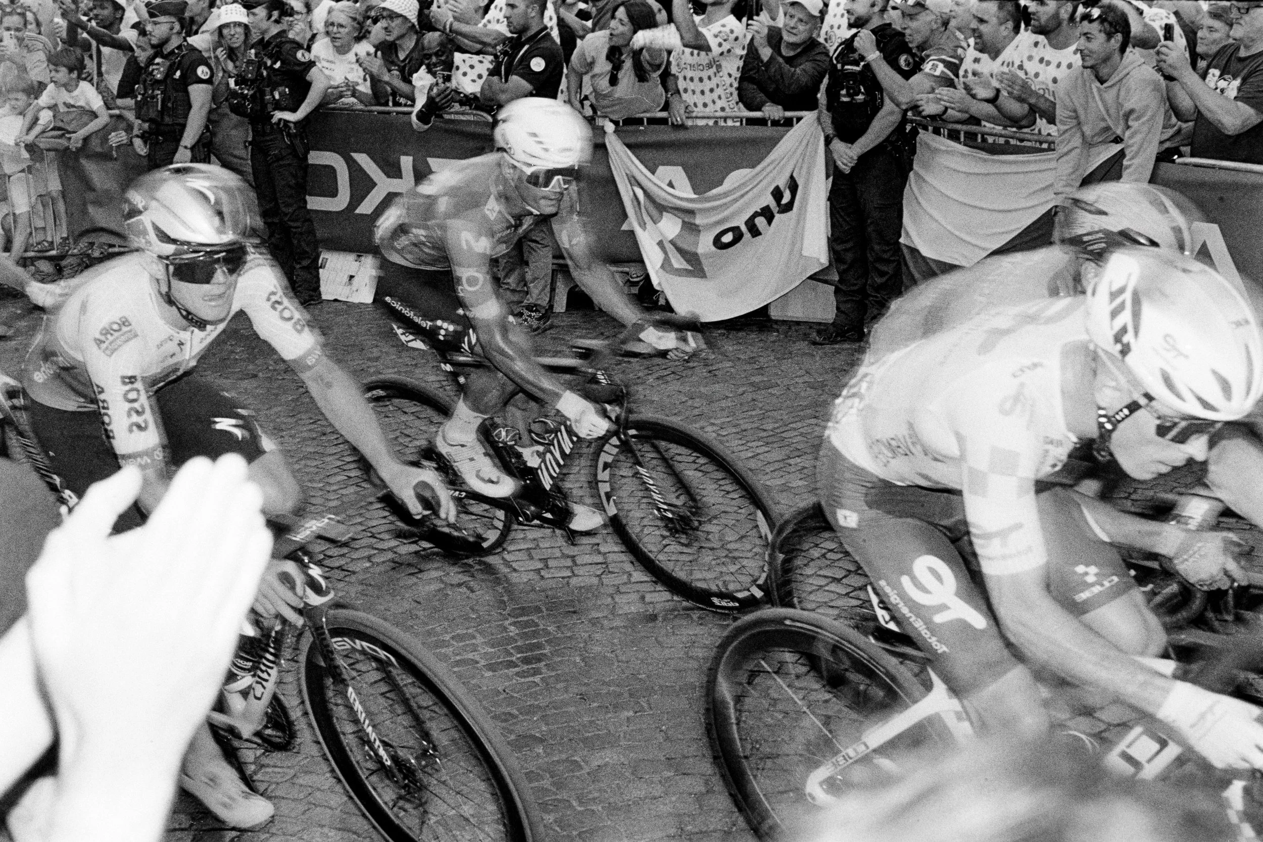 TDF-1.jpg