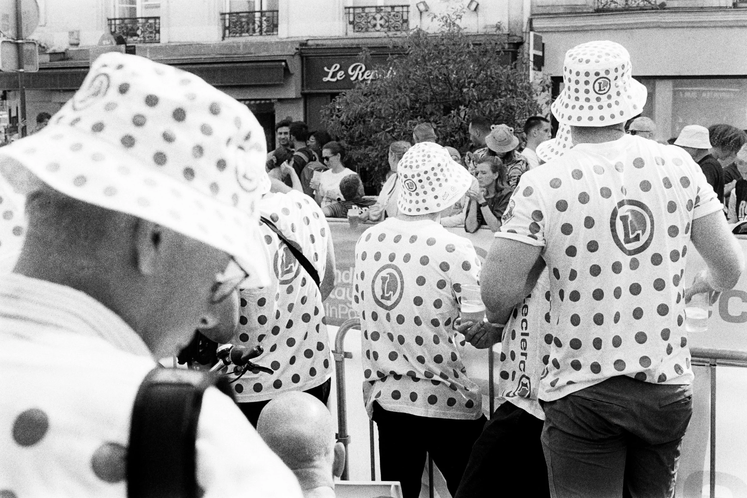 TDF-12.jpg