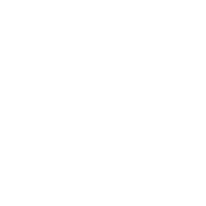 A diagram of a network or connected nodes with a central circle and multiple branches extending outward.