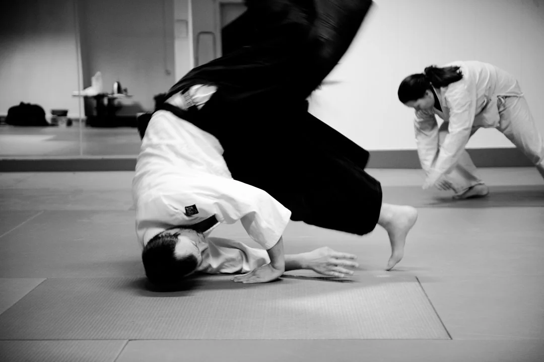 To personer som trener aikido. Bilde er tatt i en forover kråke