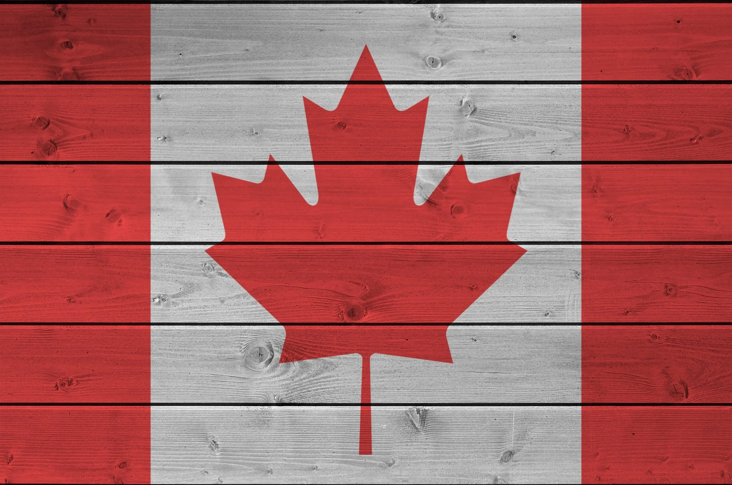 Shopping Canadian For Your Online Presence - A Guide