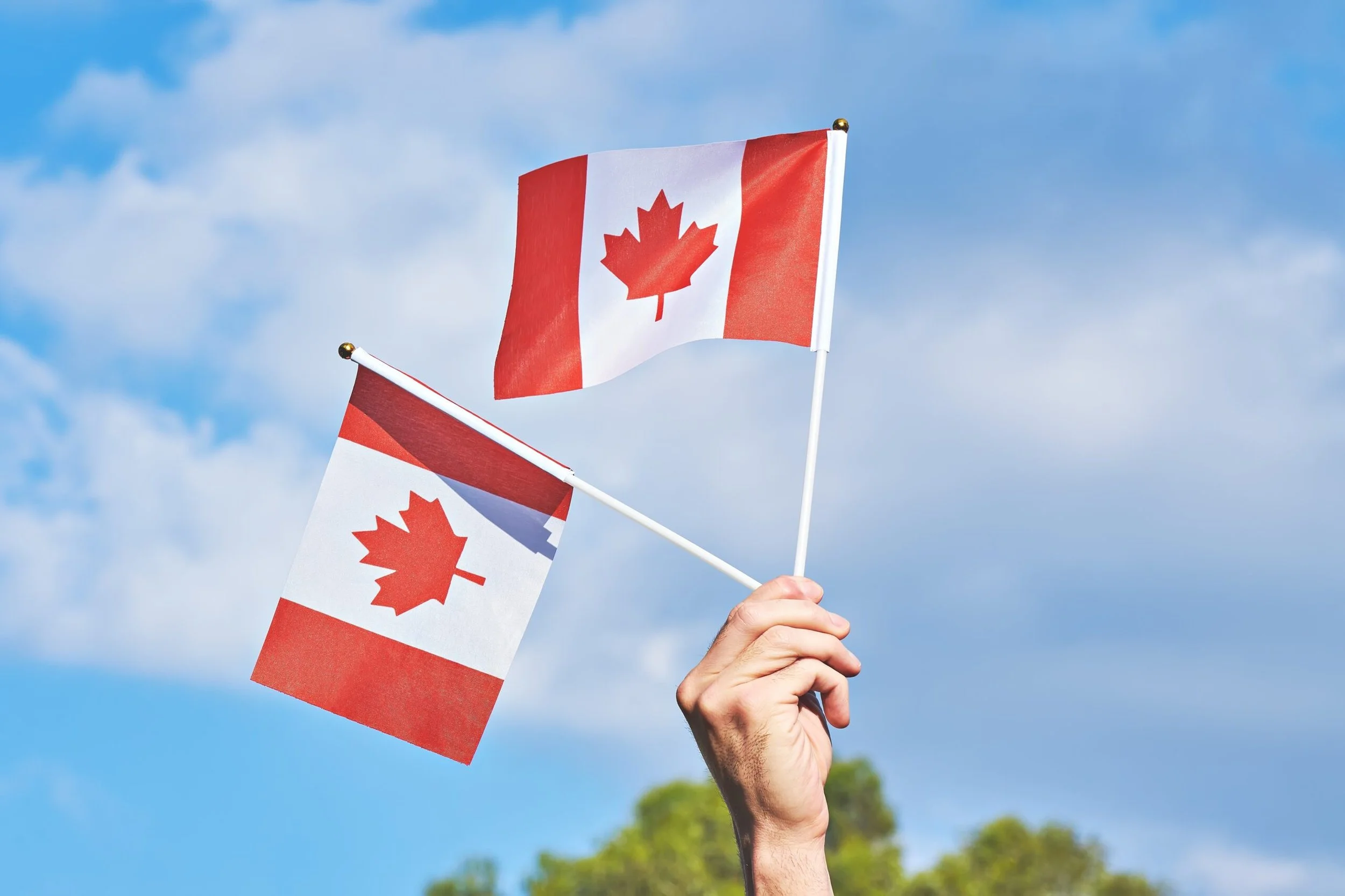 Navigating Tariffs &amp; Trade Barriers: Marketing Solutions to Strengthen Canadian Business