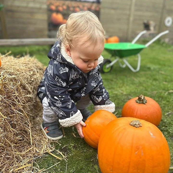 A young child crouches outdoors on a grassy area, touching three large orange pumpkins, with a pile of hay and a green wheelbarrow in the background.