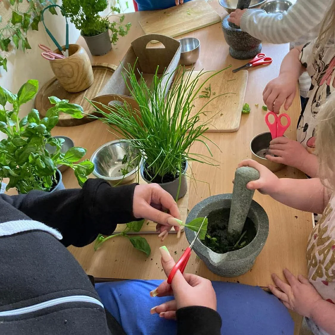 Children and adult using scissors and a mortar and pestle to prepare fresh herbs and plants on a wooden table, with potted plants and gardening tools visible.