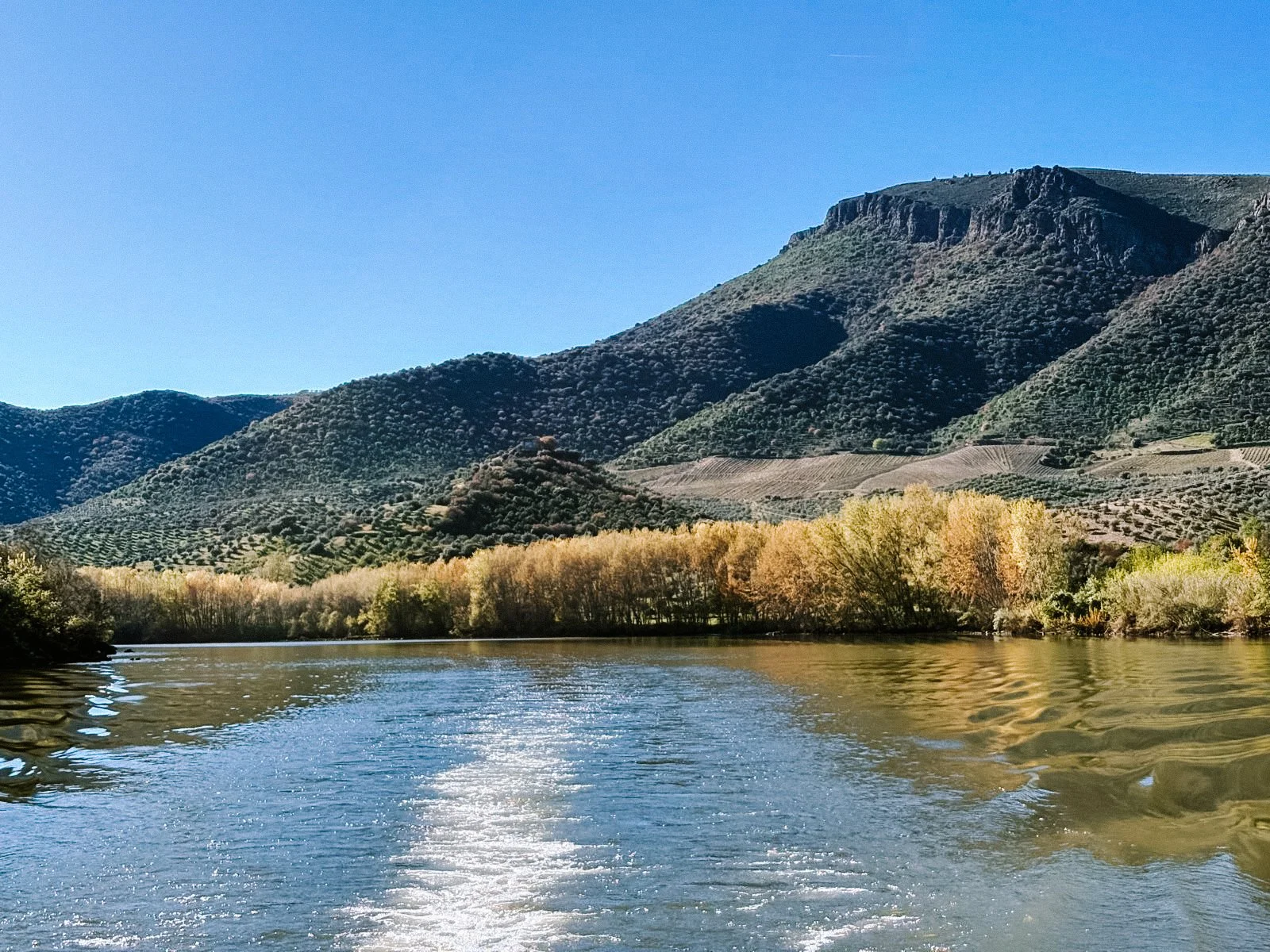 Douro Valley