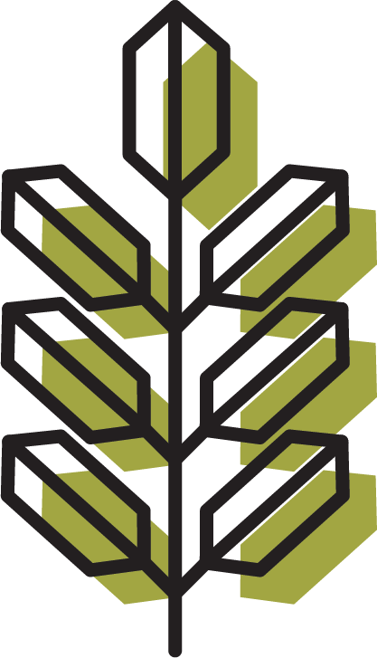 Stylized graphic of a leaf with a geometric, open-frame design in black outlines and green shadow accents.