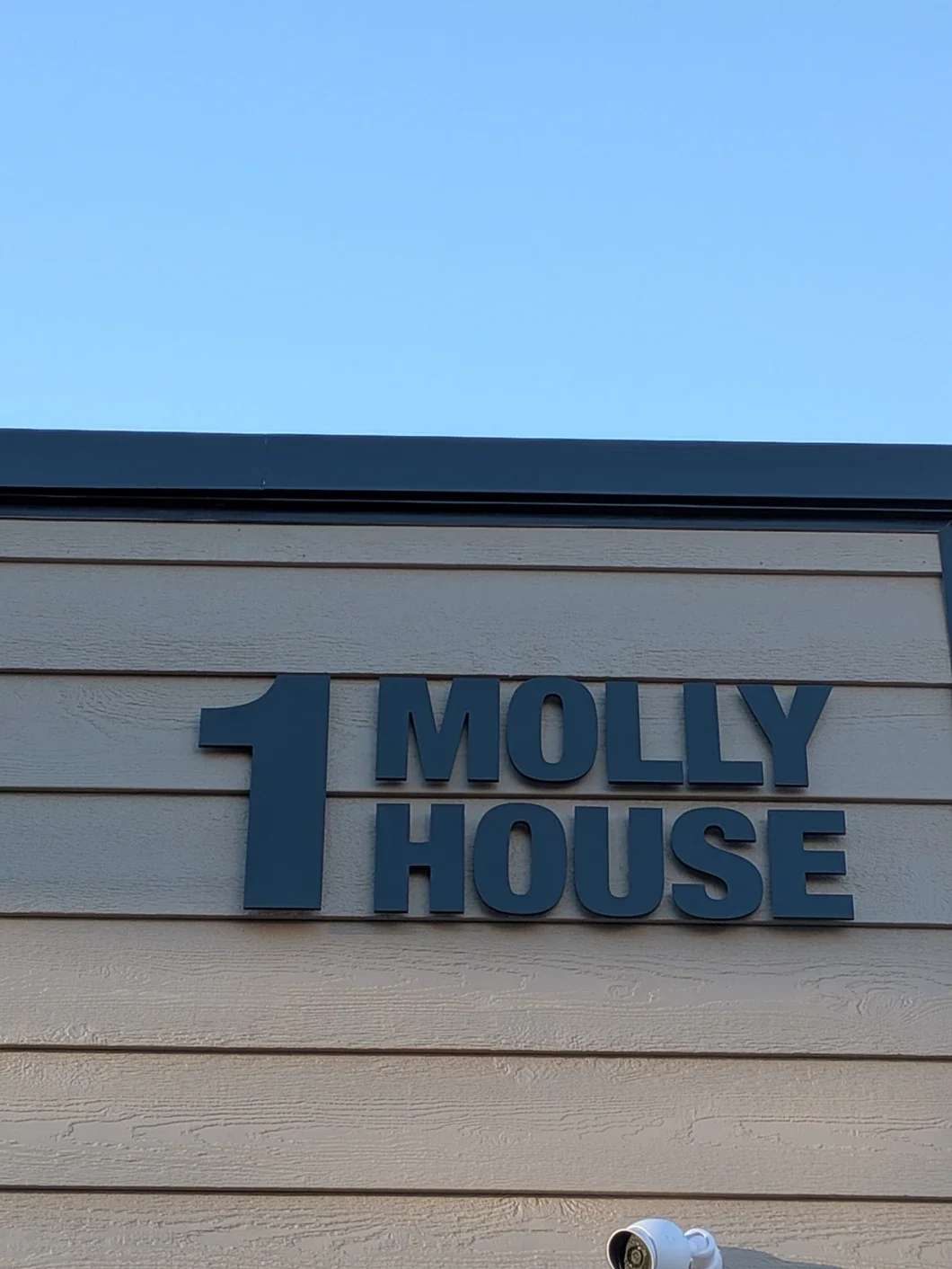 molly house 7.webp