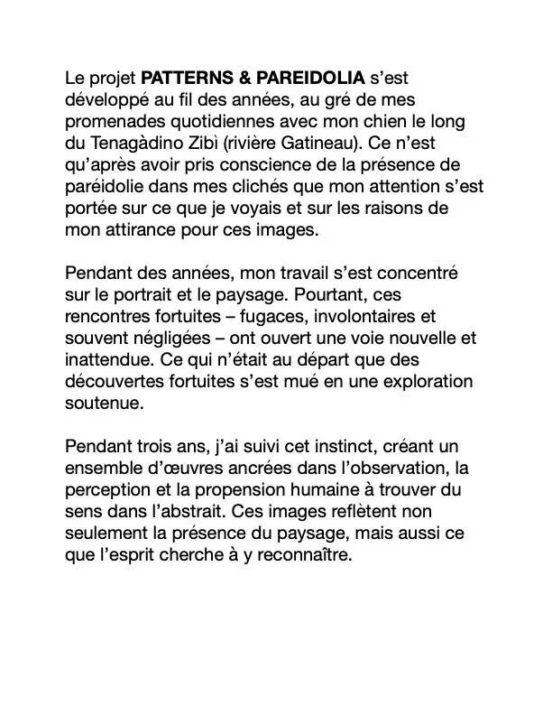 PATTERNS INTRO FRENCH.jpeg