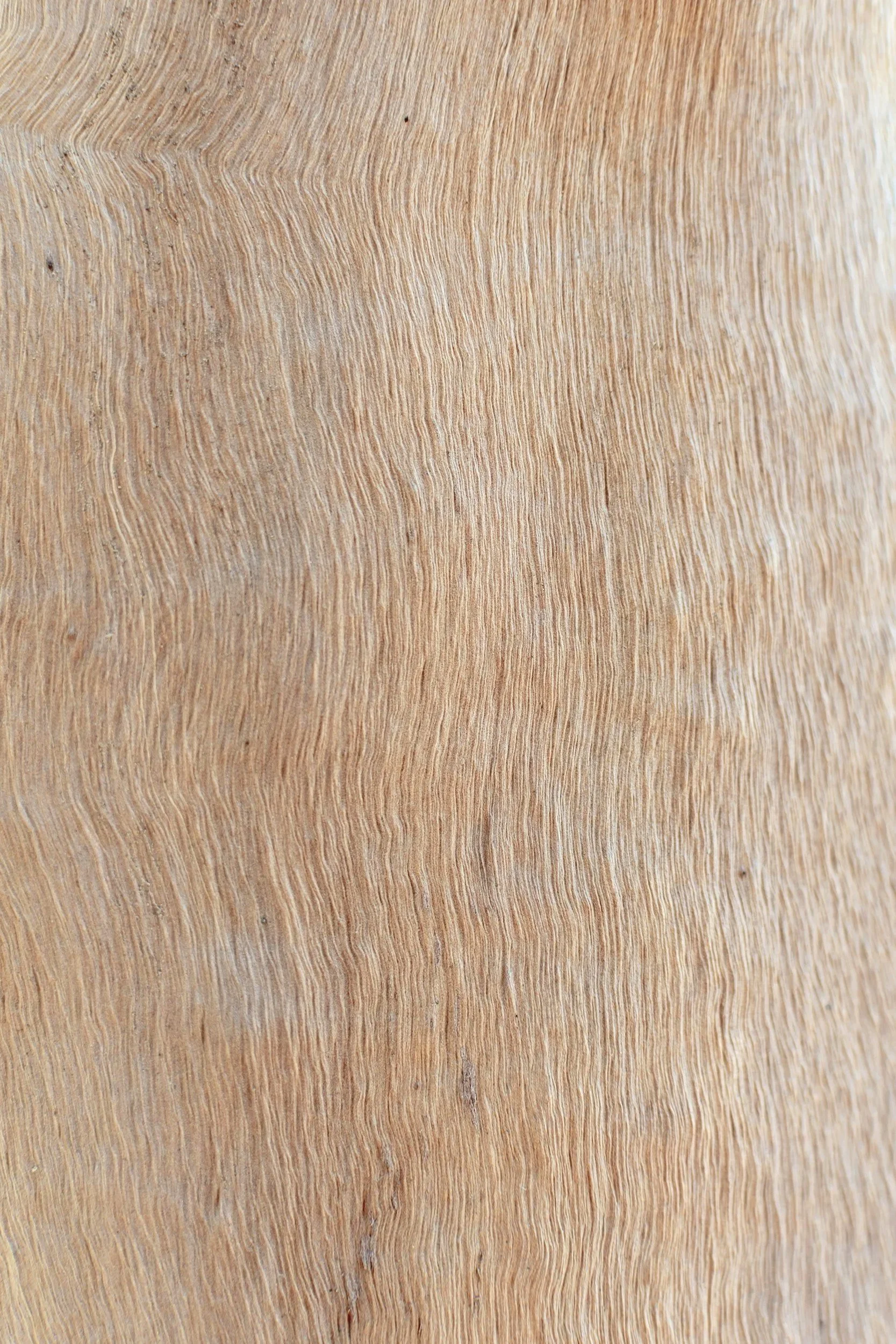 Texture en gros plan de la surface d'un bois clair, montrant des fibres et des grains fins.