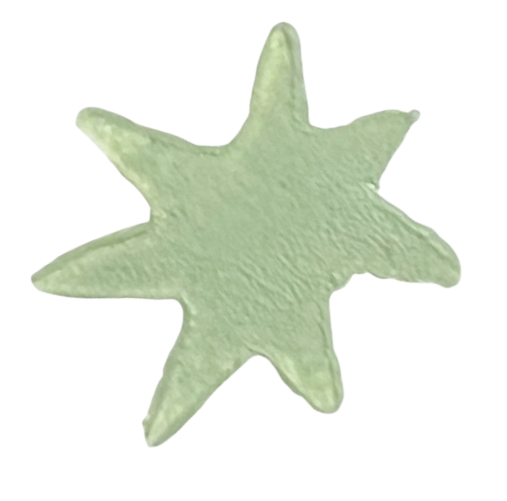 Green star shape. This design is a digital copy of a hand-carved linocut stamp.