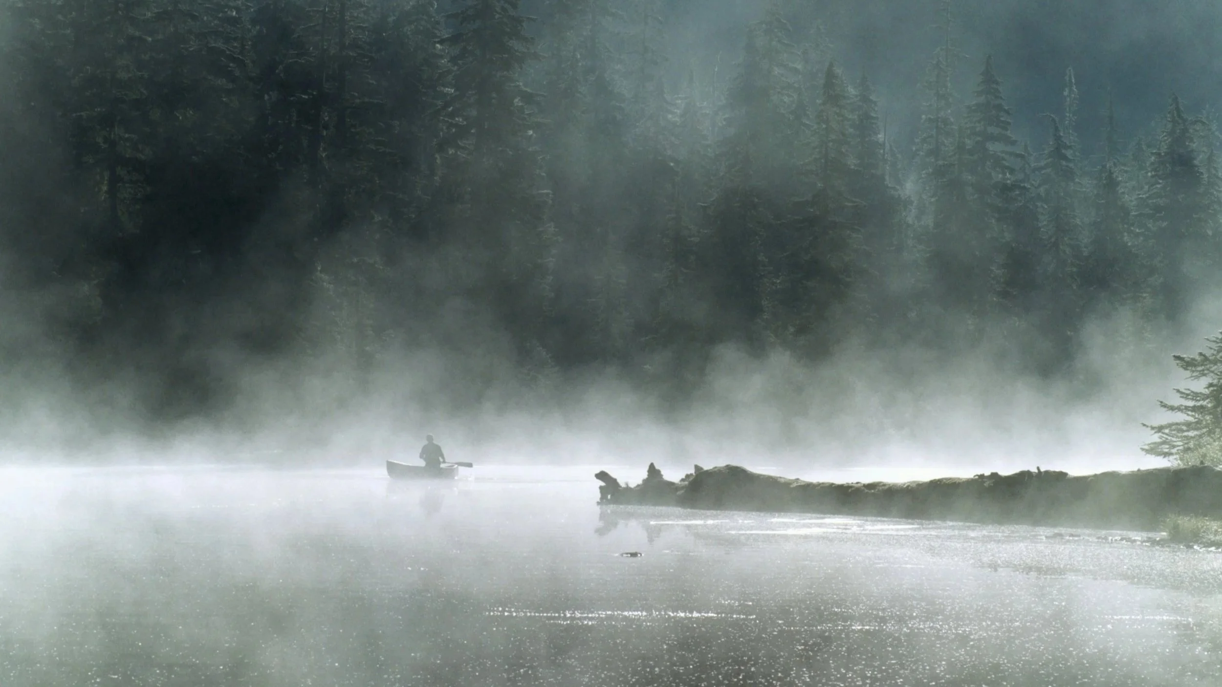 A person in a boat on a foggy river surrounded by tall pine trees and mist.