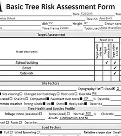 "The Canopy Code: Risk, Rules, and Real Arboriculture"