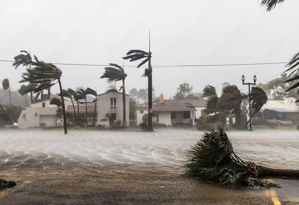Hurricane Season Preparation and Your Trees