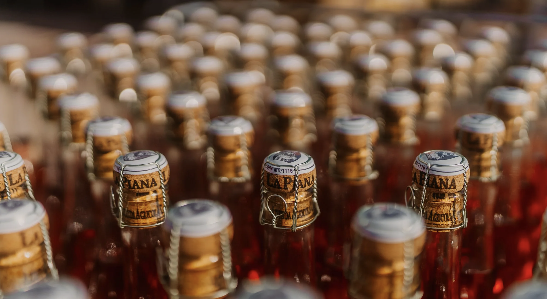 Multiple glass bottles with cork stoppers and metal wire cages, arranged in rows, close-up shot.