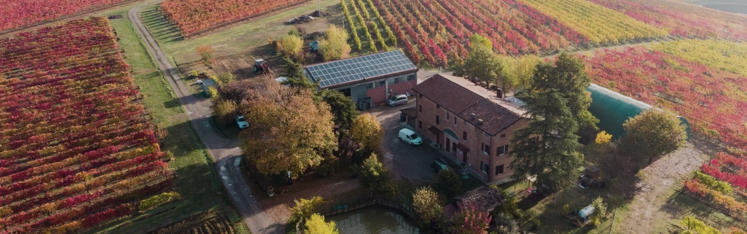 Aerial view of a vineyard farm with colorful grapevines, farm buildings with solar panels on the roof, trees, parked cars, and a pond in the foreground during autumn.