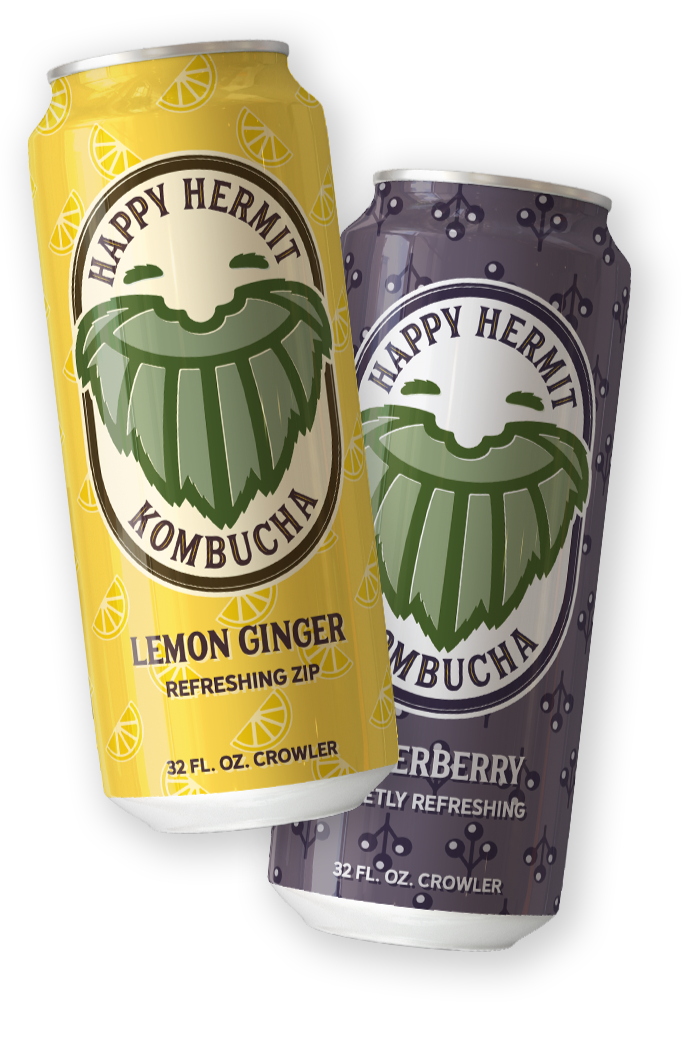 Two cans of Happy Hermit Kombucha, one lemon ginger flavor and one blueberry flavor, on a black background.