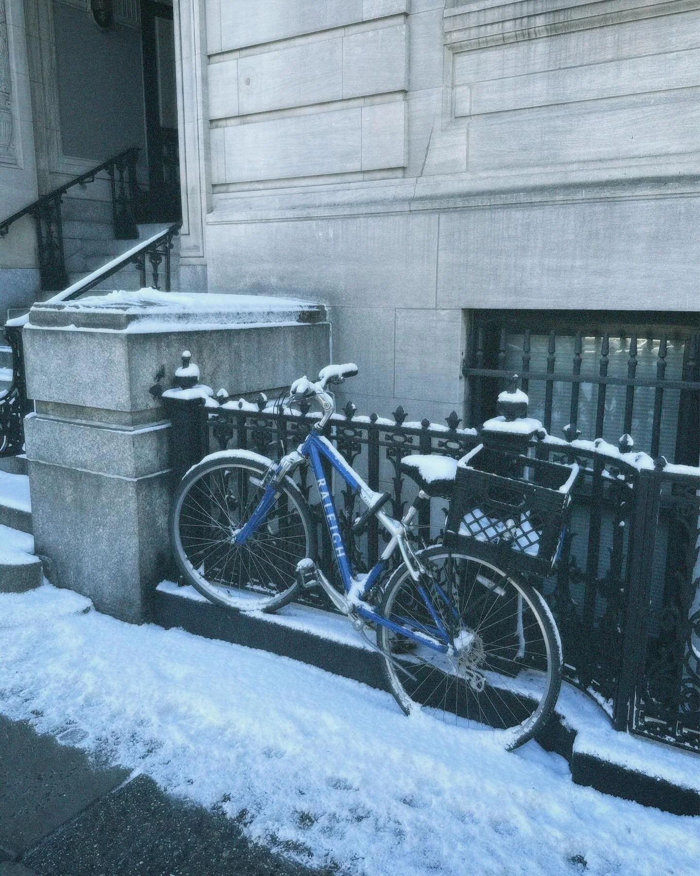 take me back to that singular snow day :)