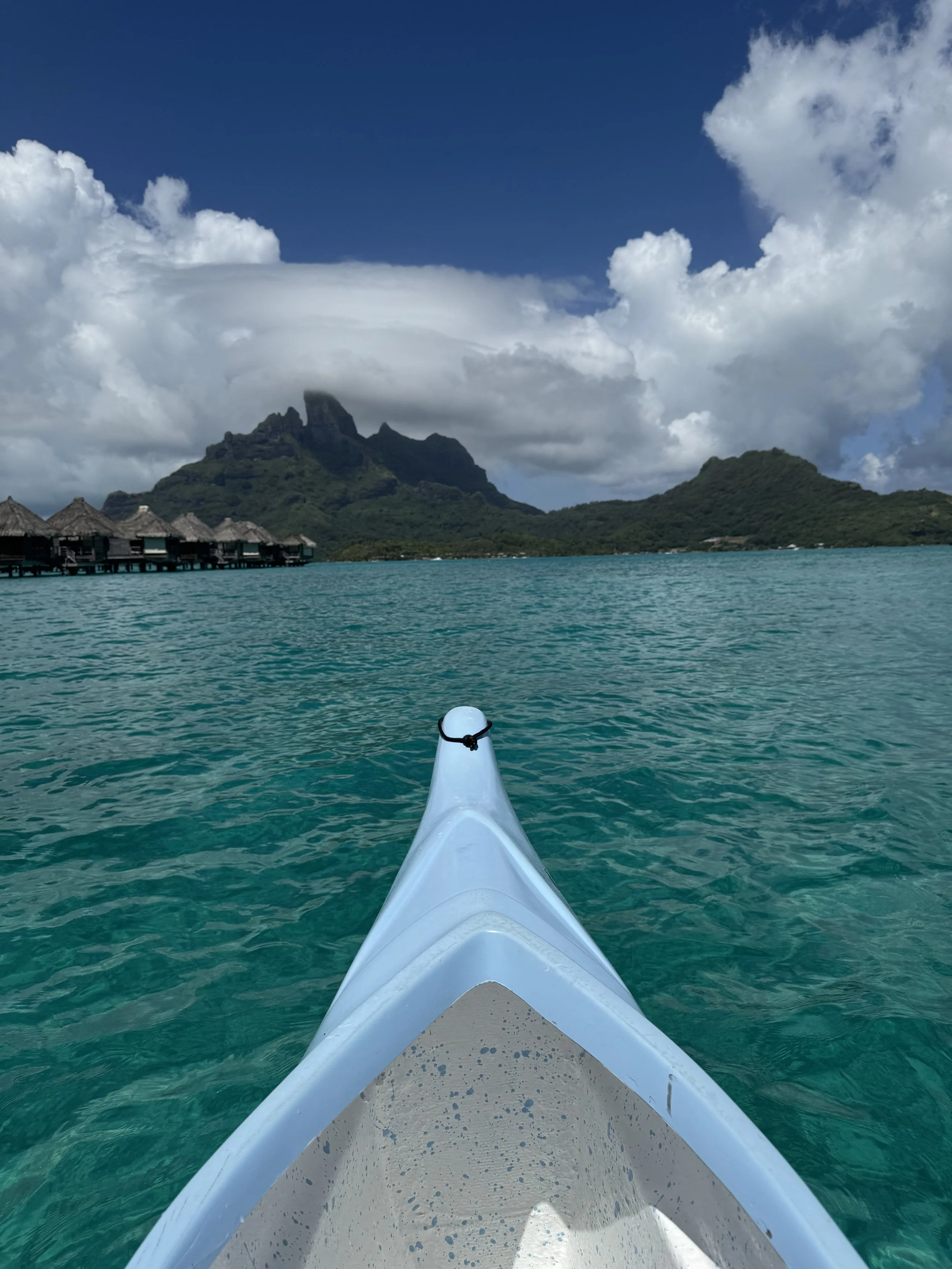 IMG_3936.jpeg