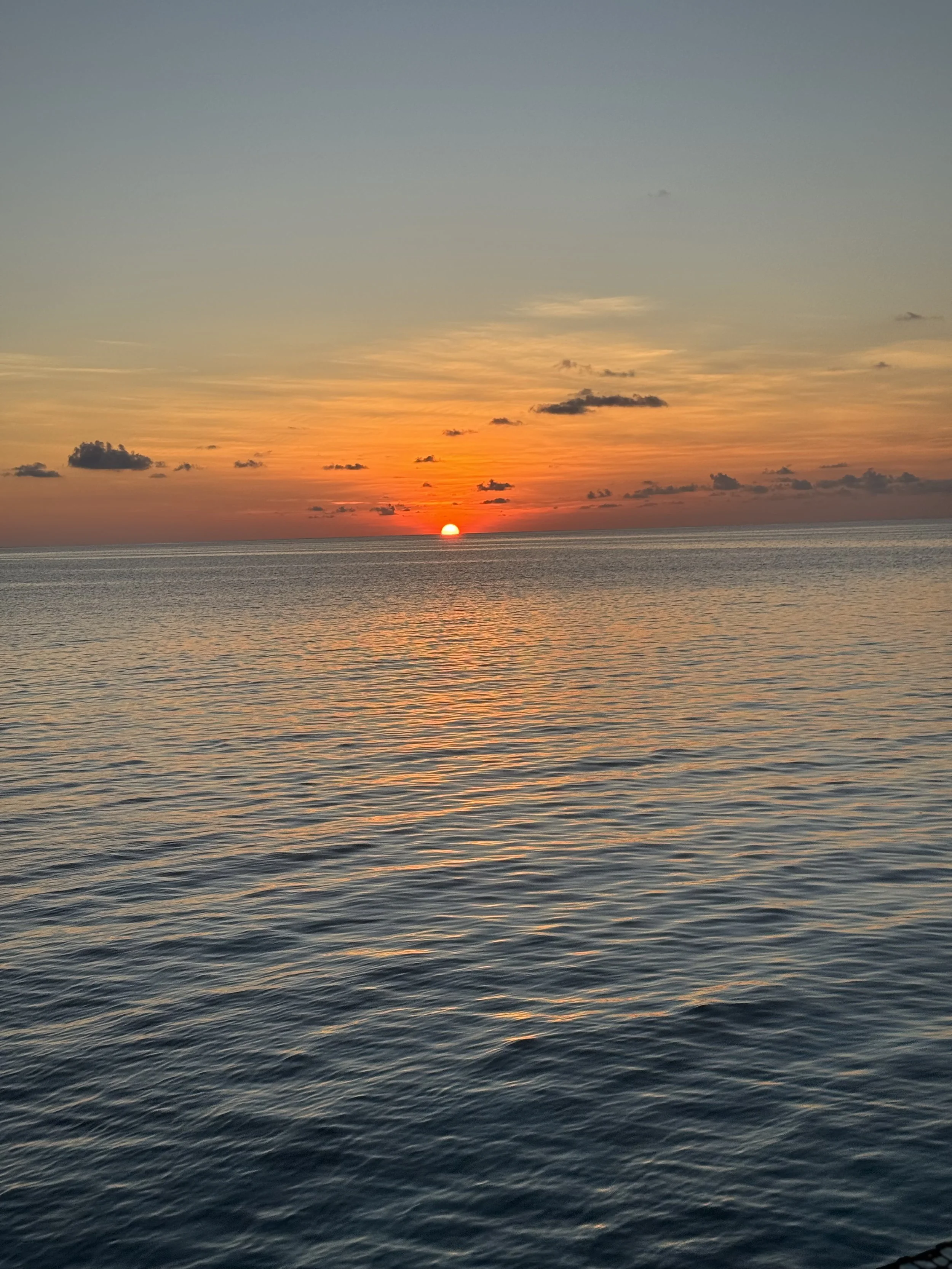IMG_6282.jpg