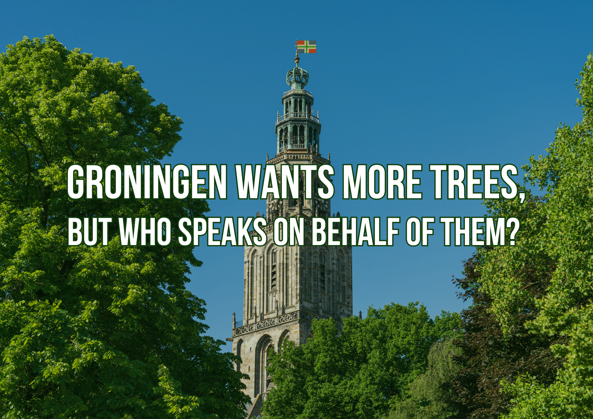 Groningen Wants More Trees, but Who Speaks on Behalf of Them?
