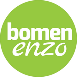Bomenenzo.png