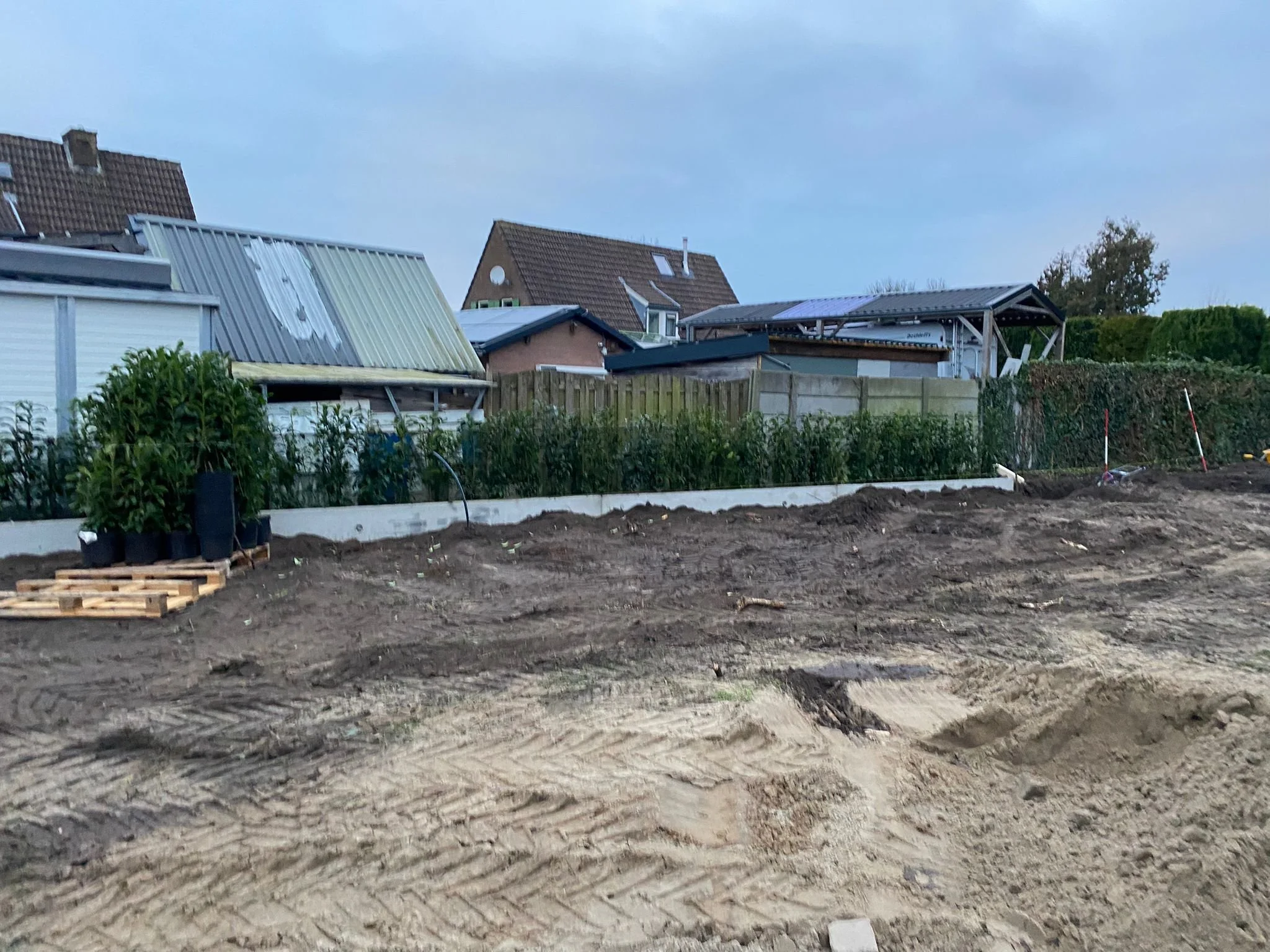 WhatsApp Image 2026-03-07 at 17.10.48.jpeg