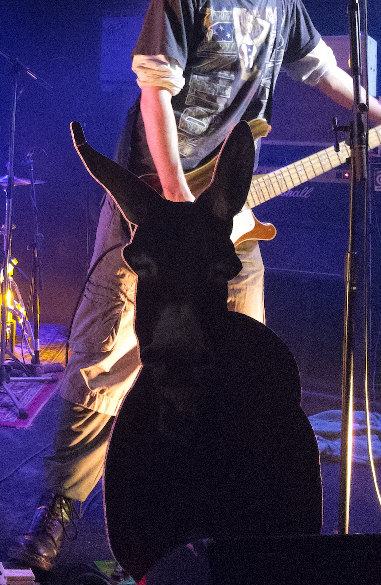 A person playing electric guitar on stage, seen from the back, with a black dog sitting in front of them, also facing stage. The stage has various musical equipment, including a Marshall amplifier, and is illuminated with purple and blue lighting.