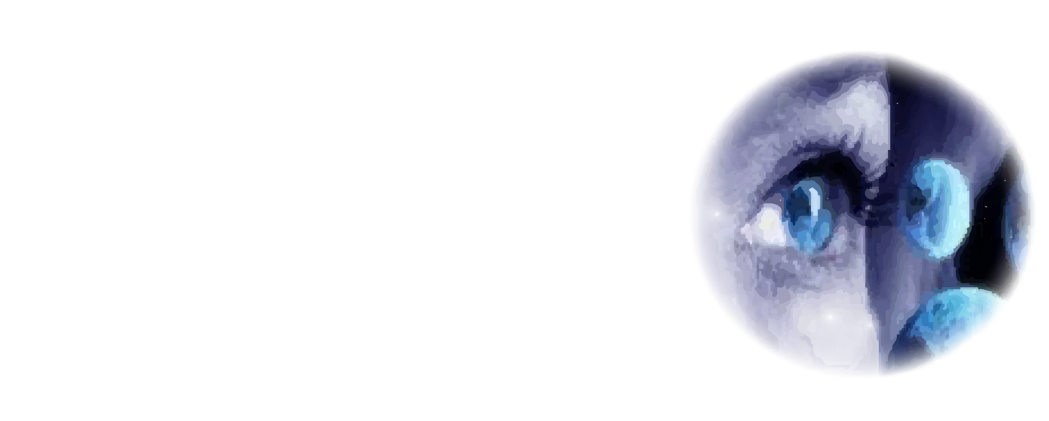 Visionary Technology Consultants (Copy)