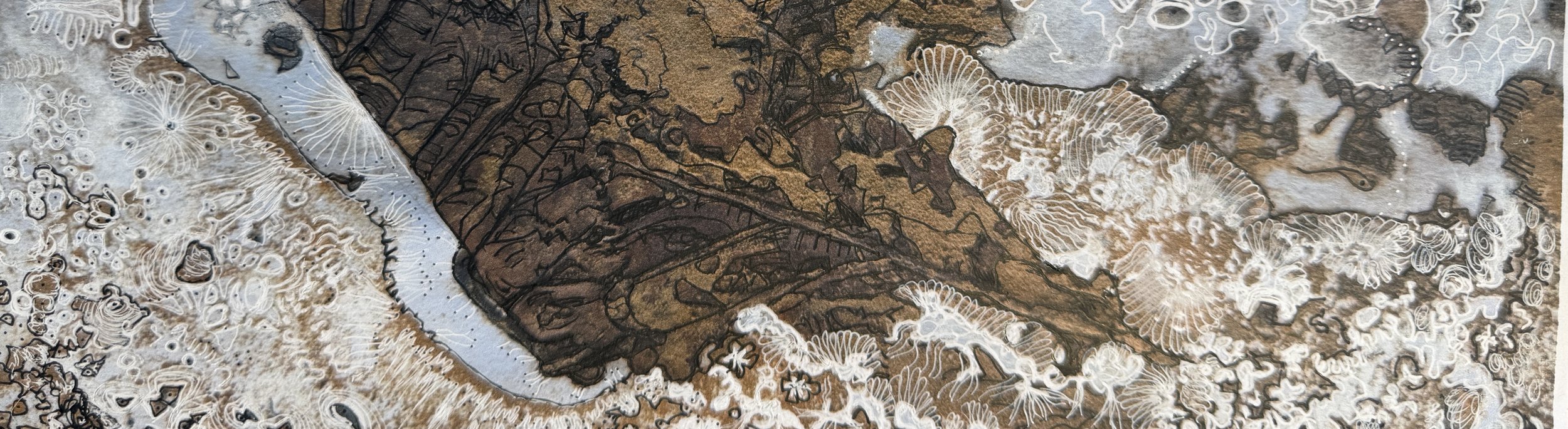 Close-up of a textured surface with brown, black, and white colors, featuring intricate patterns, lines, and formations resembling fossilized coral or mineral deposits.