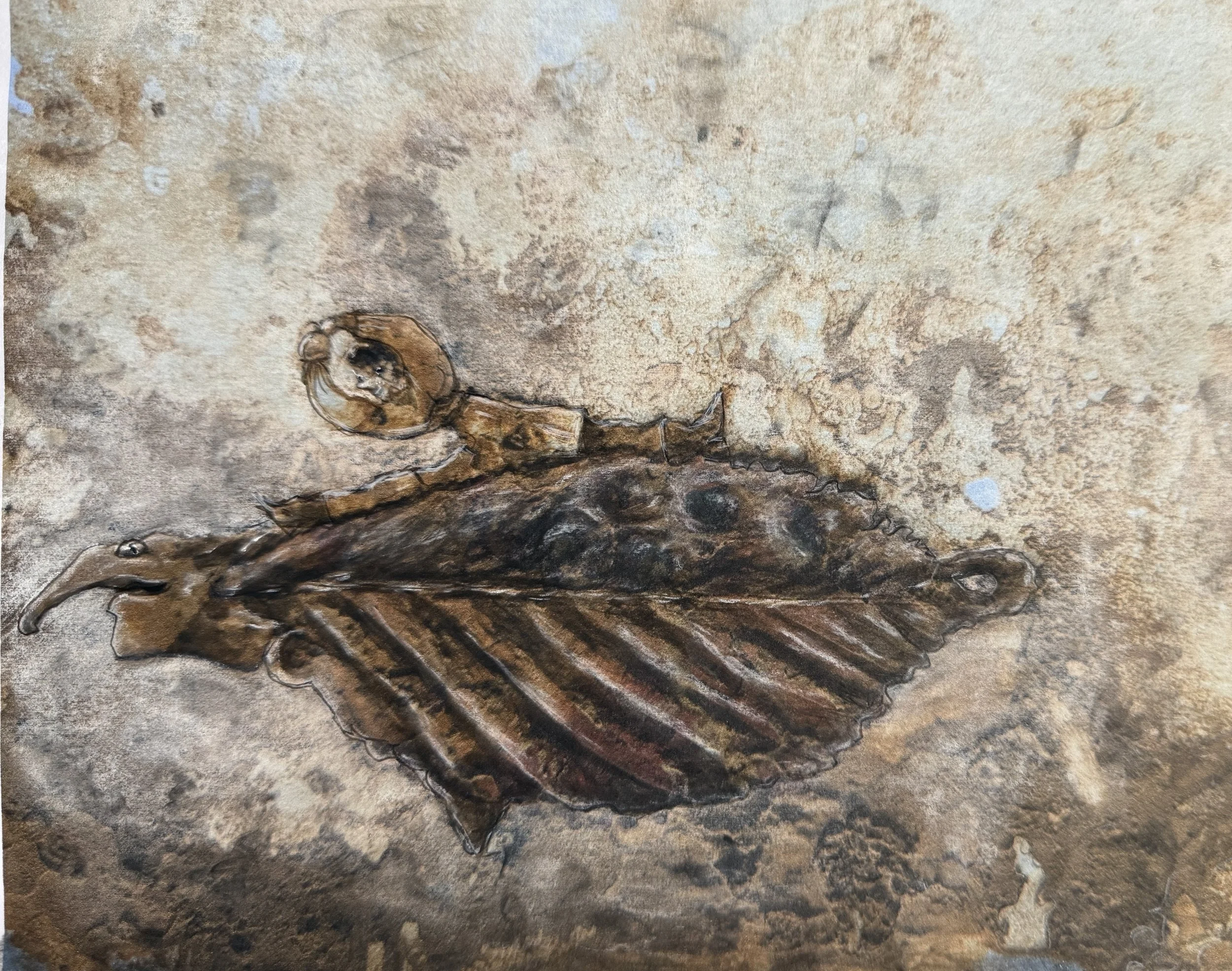 Fossil of a butterfly embedded in a rock with detailed wings and body.