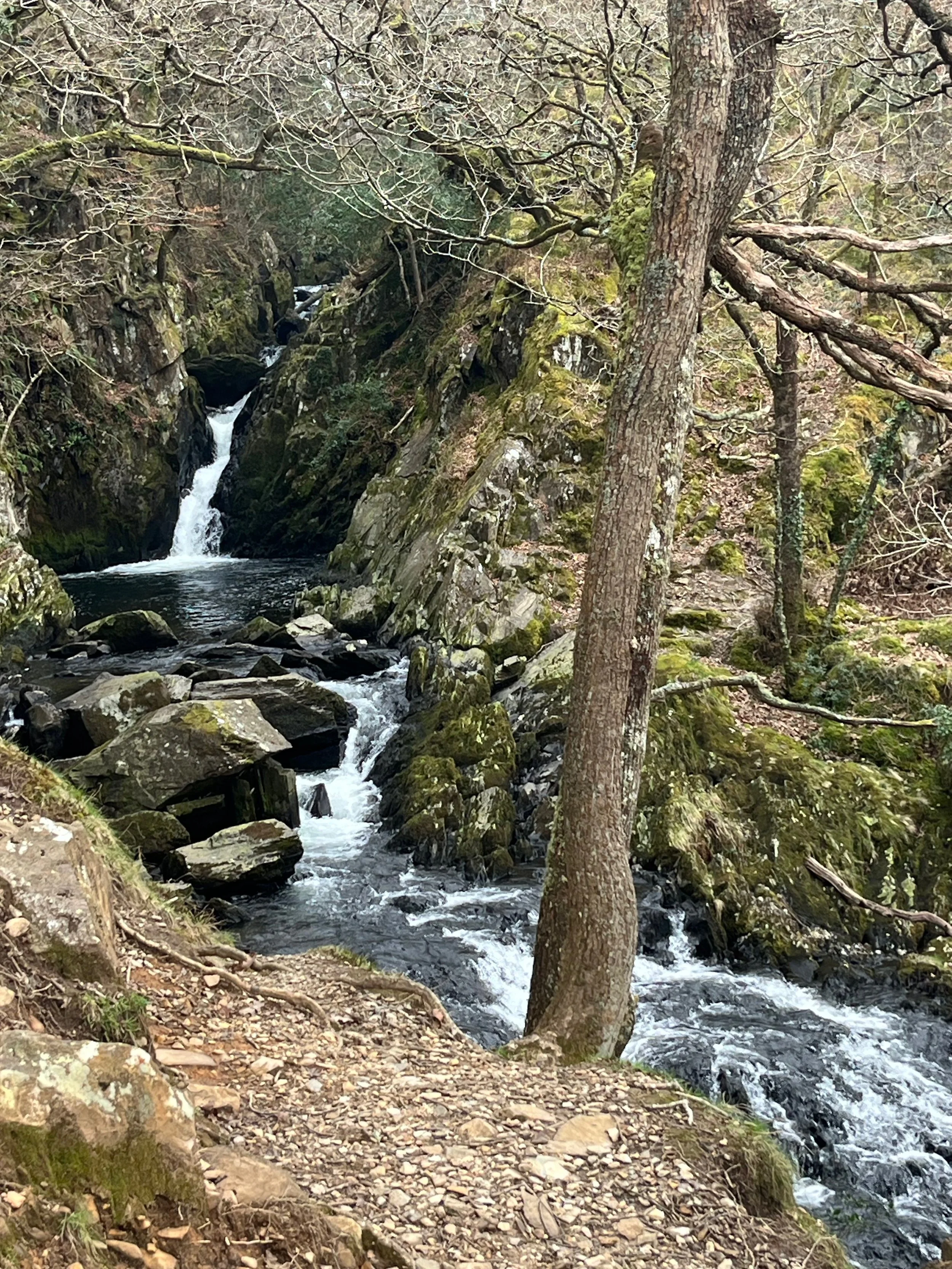 Start of the waterfall walk at Nantcol