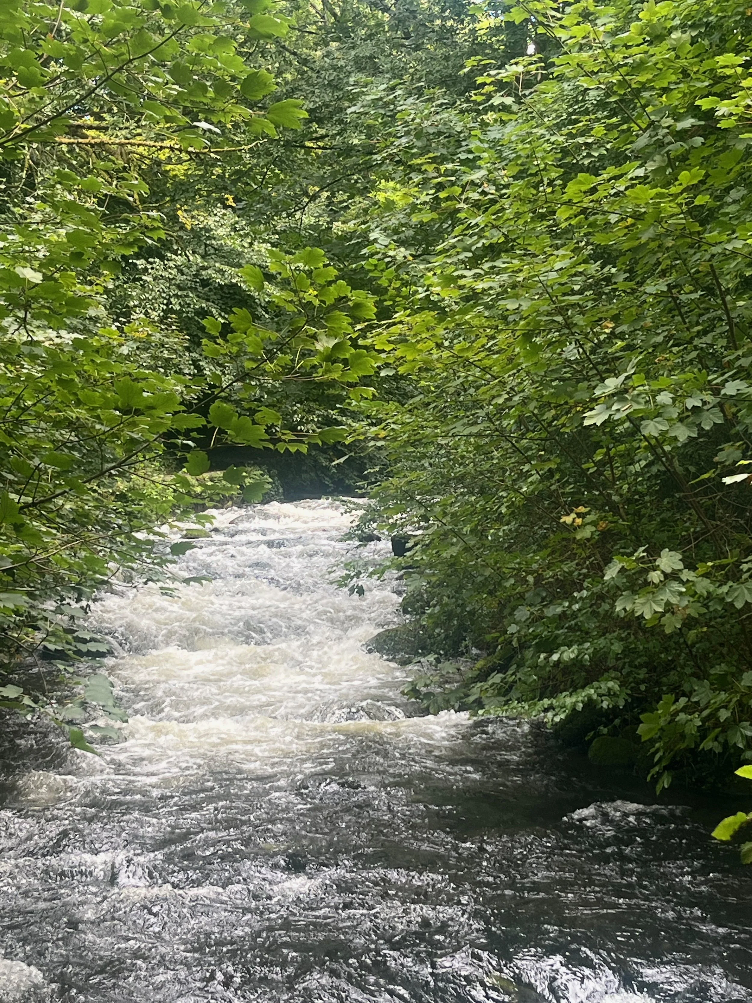 Ysgethin River