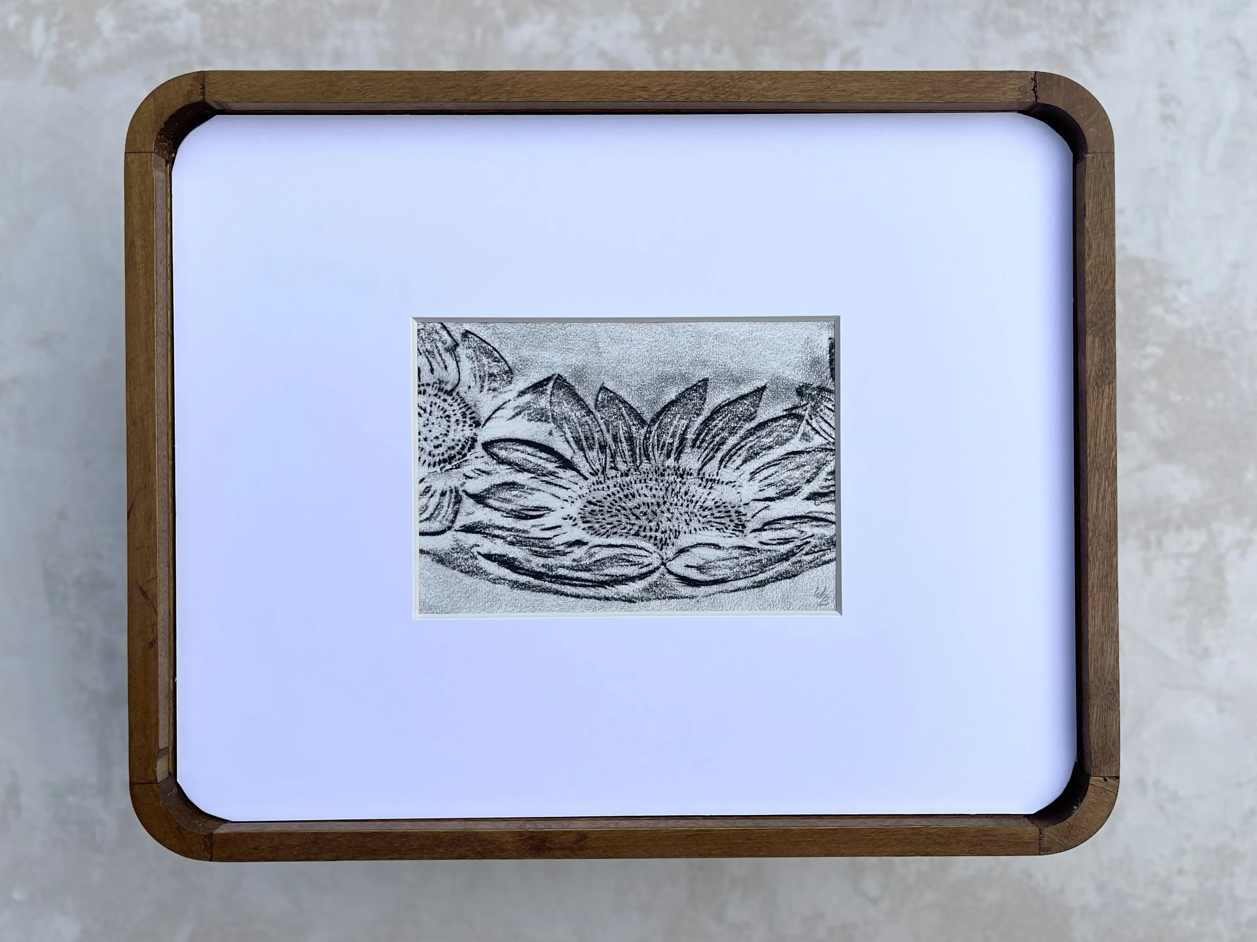 Artist Erin Stelmaschuk Biegel. Chinagraph Pencil rubbing on drawing paper . sunflower, western art, prairie inspired