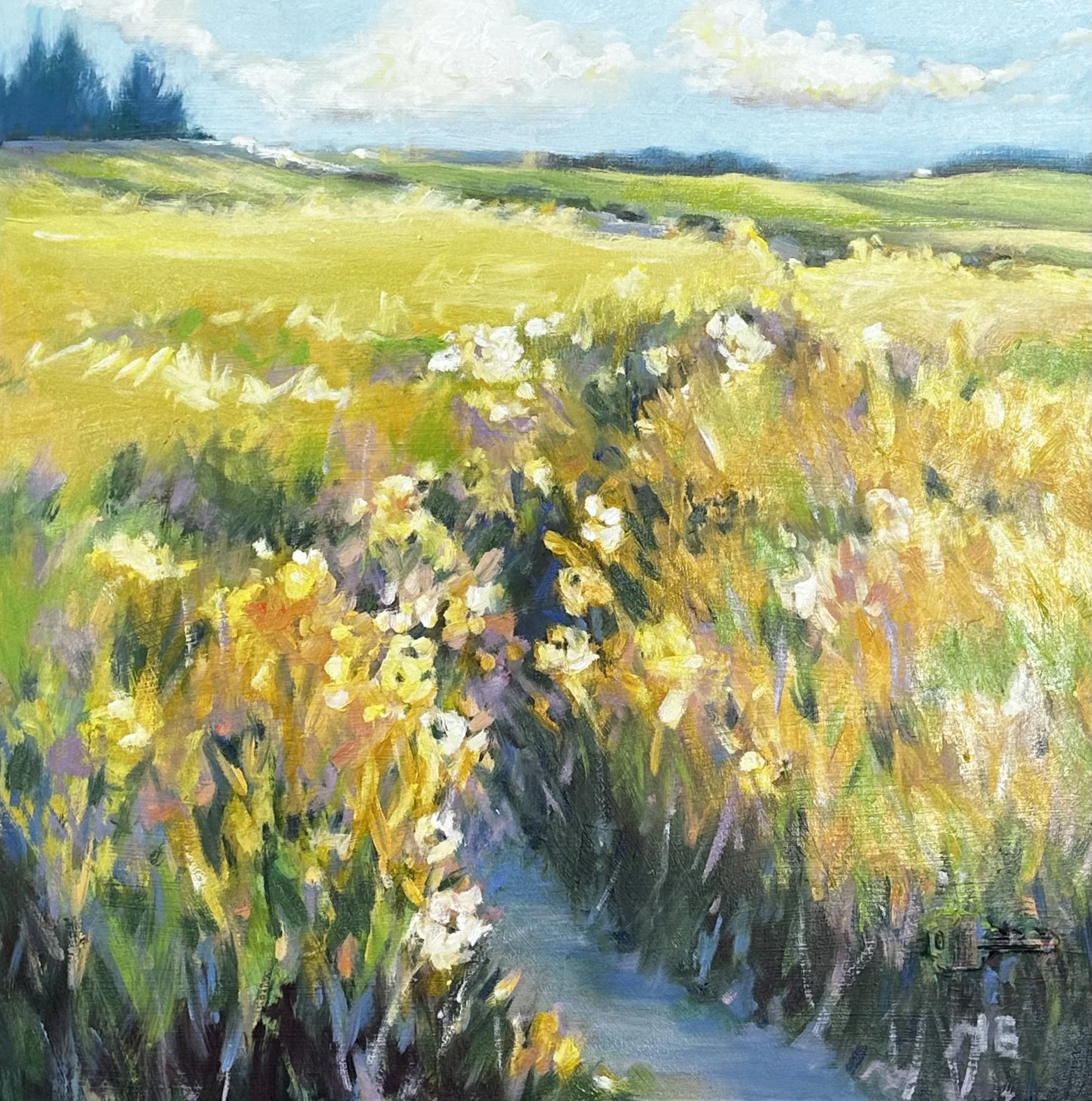 art room on 2nd gallery, Theresa Eisenbarth, artist, Medicine Hat, alberta, landscape oil paintings