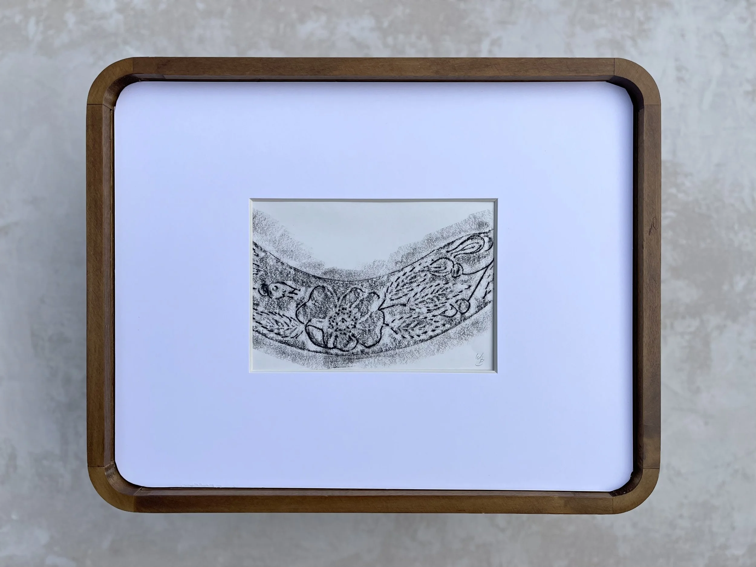 Artist Erin Stelmaschuk Biegel. Chinagraph Pencil rubbing on drawing paper, western art, prairie inspired, Alberta wild rose