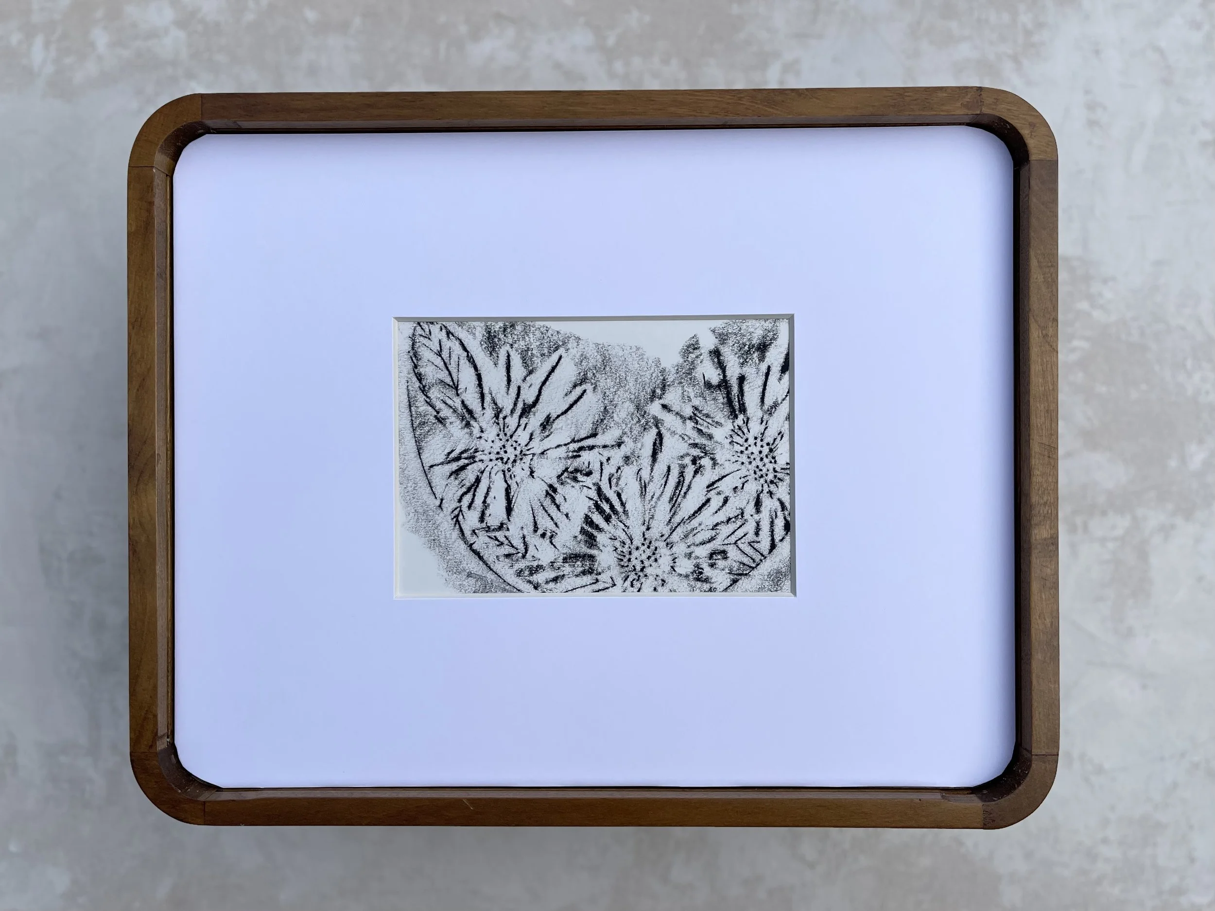 Artist Erin Stelmaschuk Biegel. Chinagraph Pencil rubbing on drawing paper, western art, prairie inspired