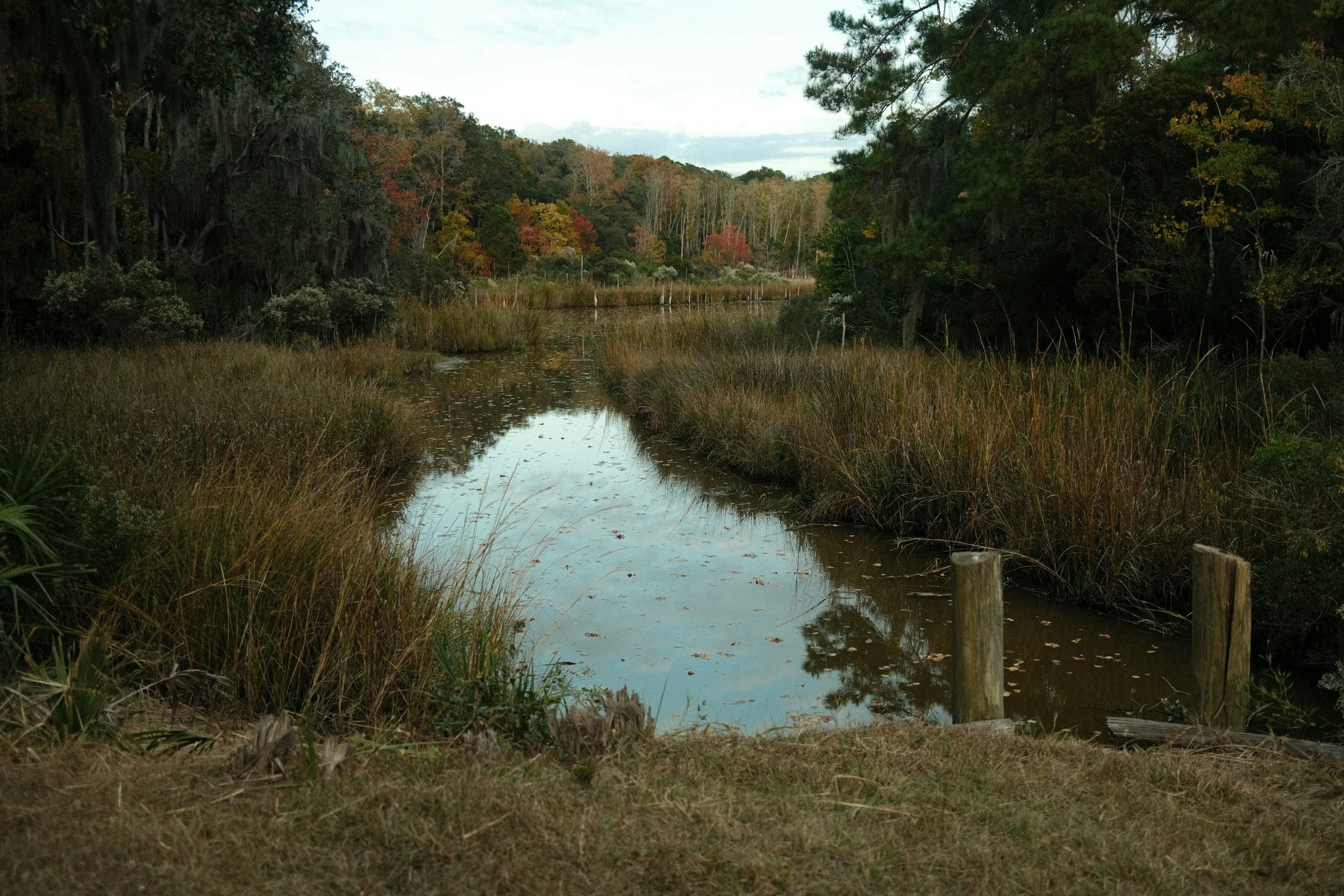 A narrow waterway bordered by tall grasses and trees with fall foliage, reflecting the sky in the water.