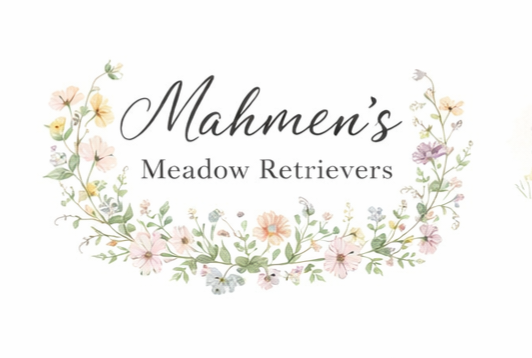 Logo for Mahmen's Meadow Retrievers with floral designs surrounding the text.