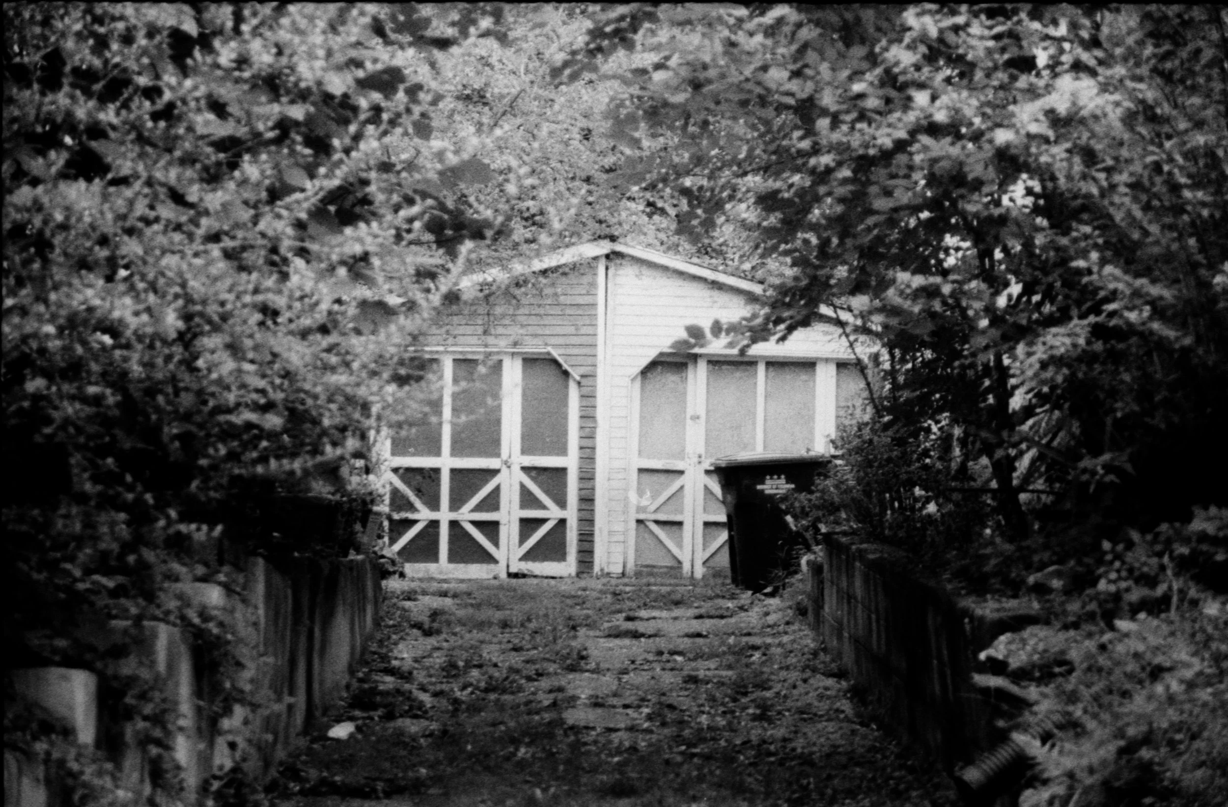 A black and white photo of a narrow, uneven pathway leading to a small shed or garage with double doors, surrounded by trees and bushes, with a trash bin beside the shed.