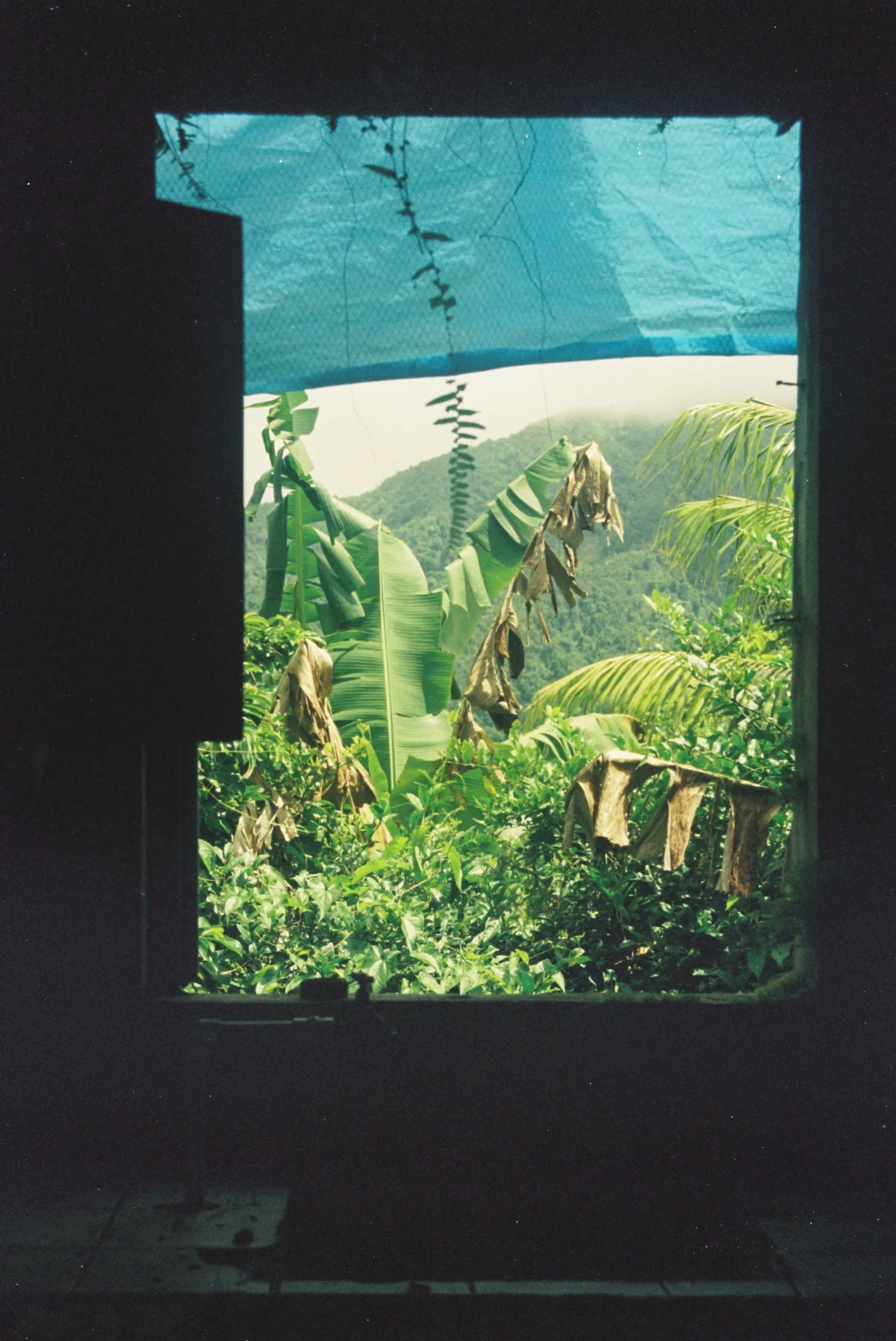0857350_0857350-R1-E020.png