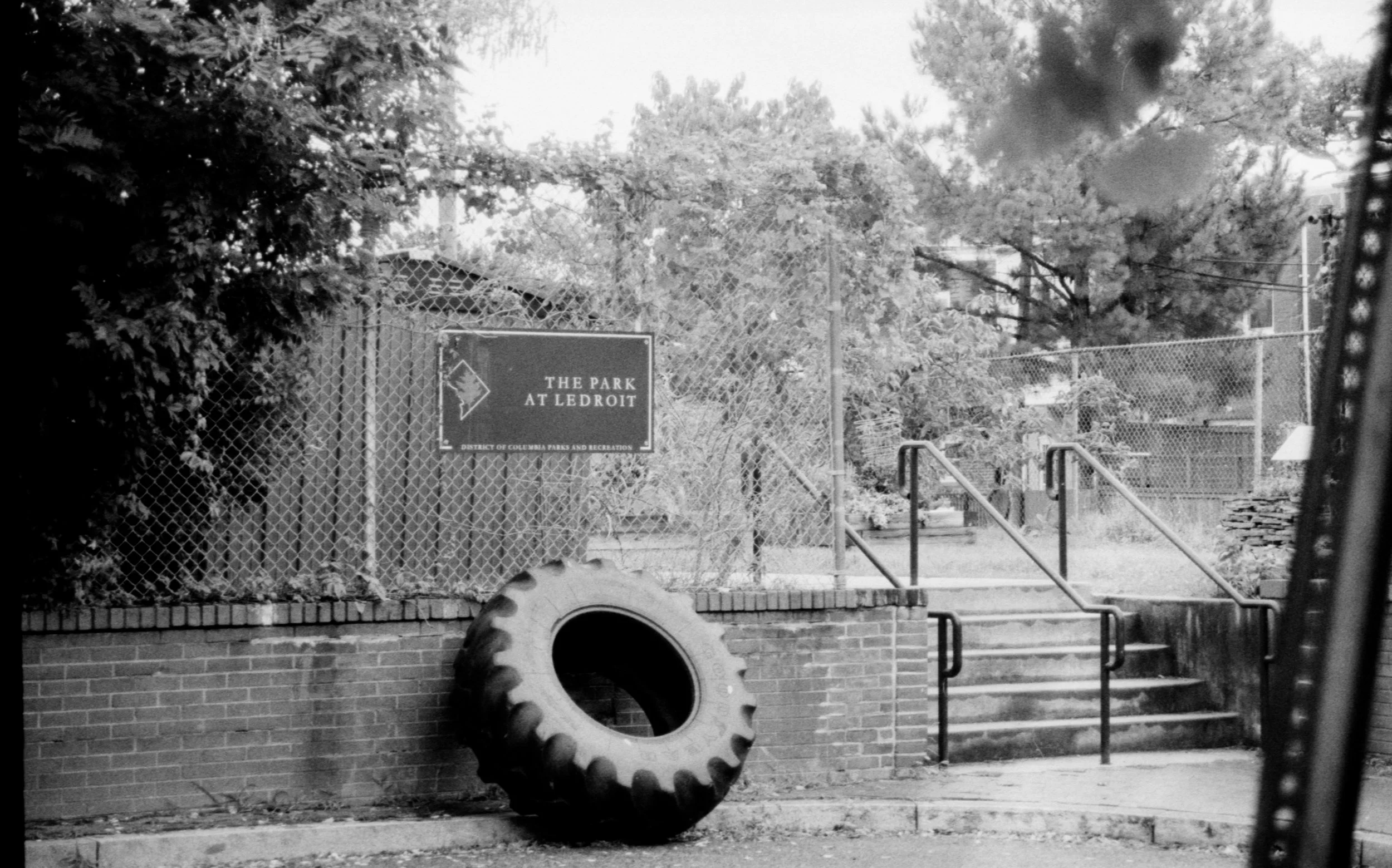 Black and white photo of an entrance to The Park at Ledroit, with stairs, a sign, a tire, and trees in the background.