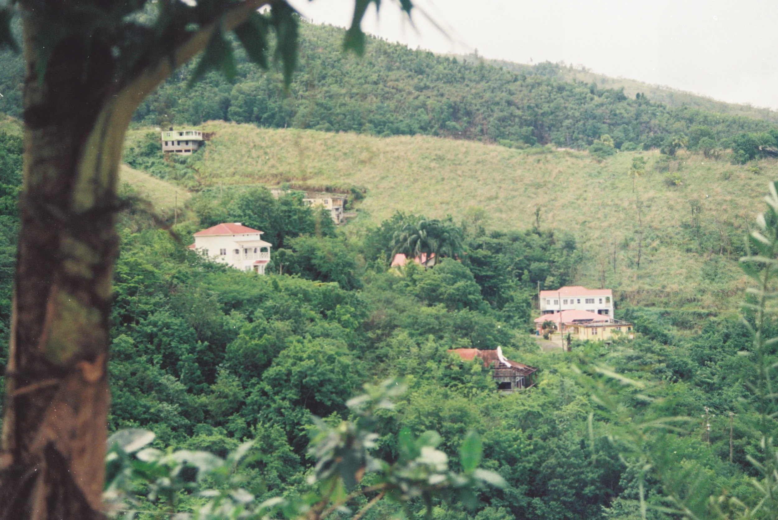 0857350_0857350-R1-E029.JPG