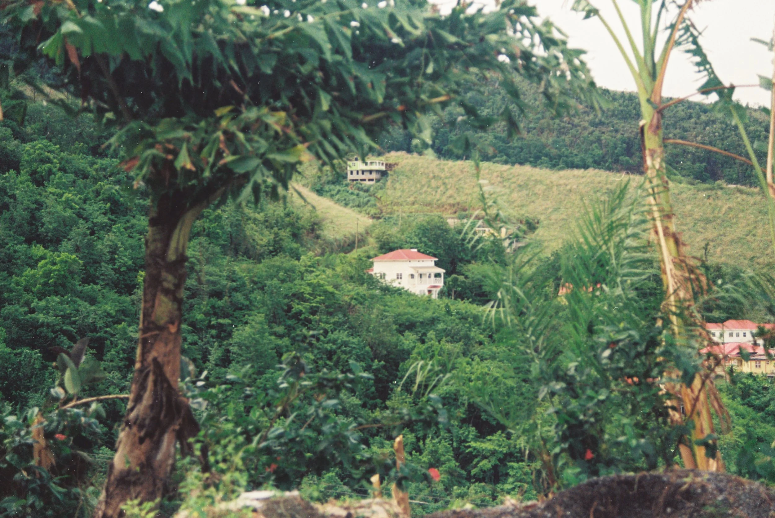 0857350_0857350-R1-E033.JPG