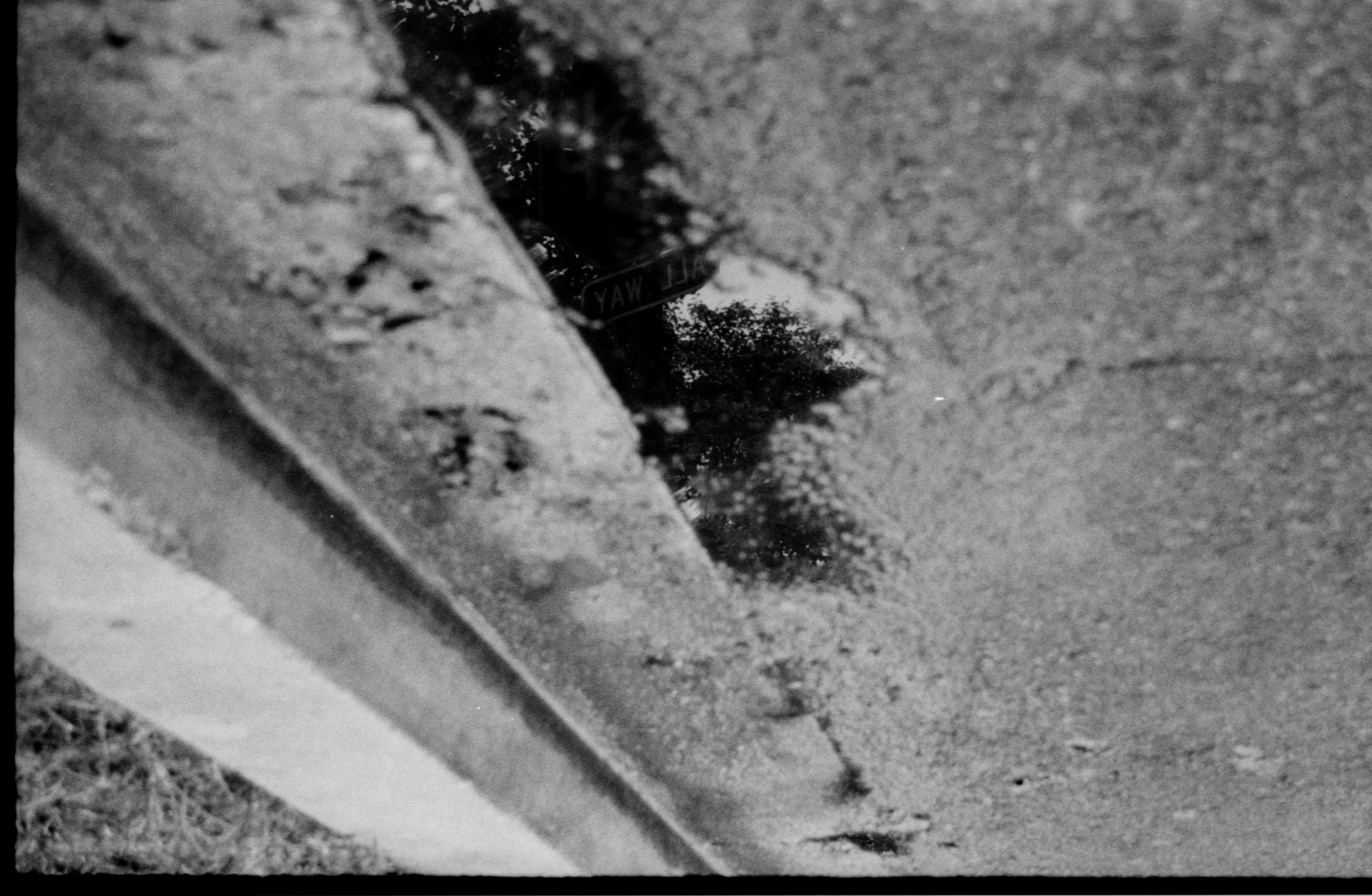 A reflection of trees and a street sign in a puddle on the ground, next to the curb.
