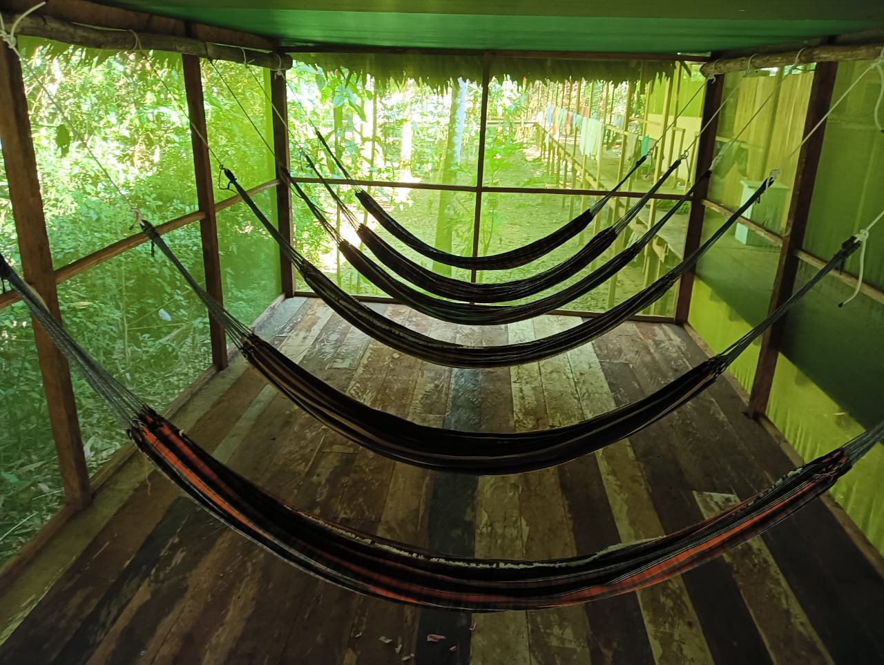 Four hammocks hung inside a small porch or balcony with wooden floorboards and green privacy screens, overlooking a lush green outdoor area.