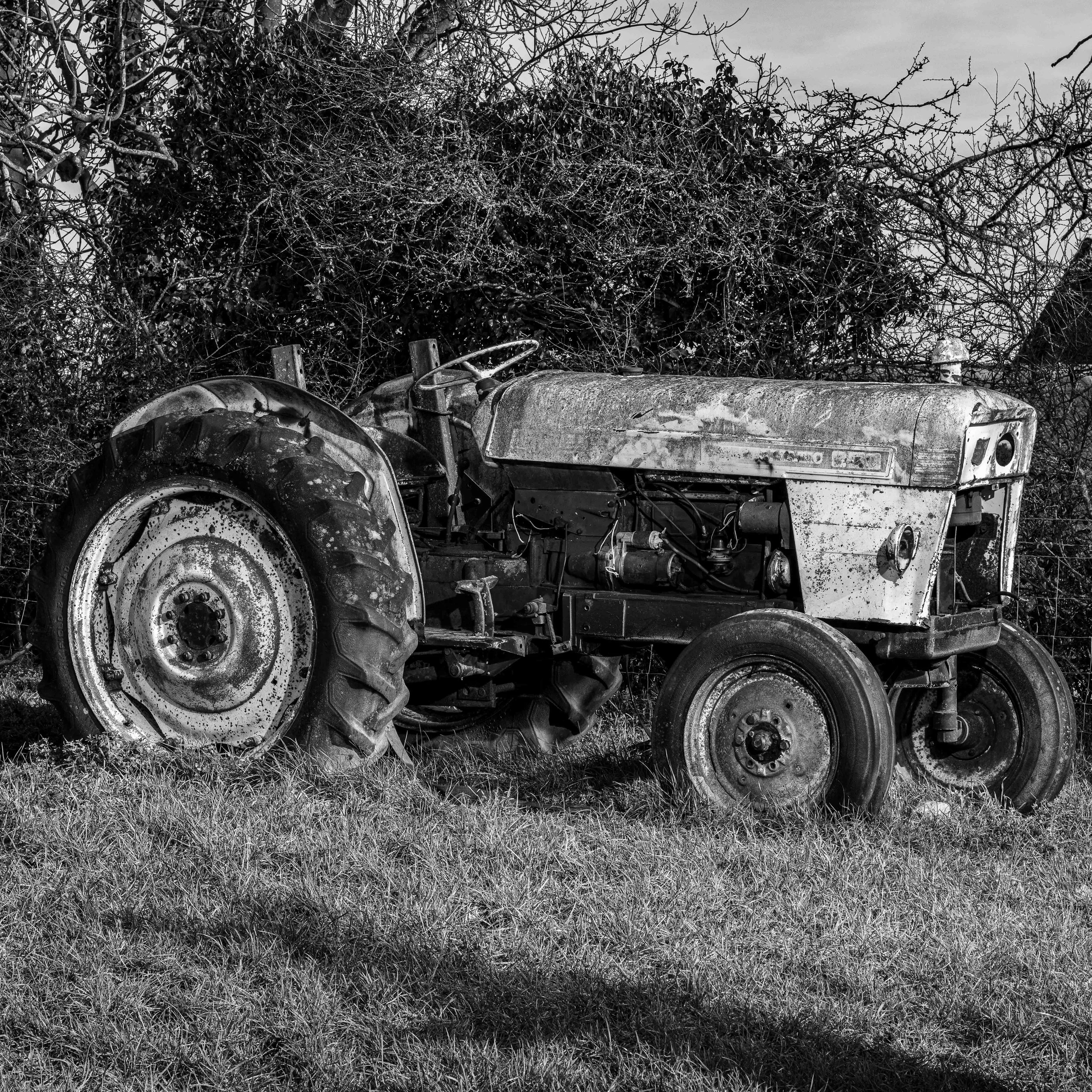 An old, abandoned tractor sitting on the grass with leafless trees and bushes in the background.