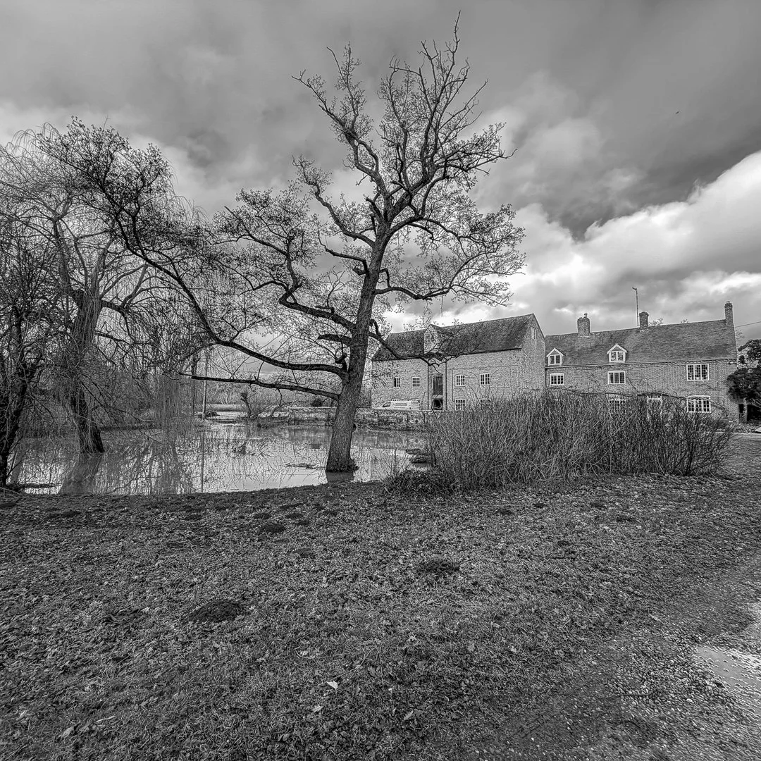 A black and white photo of a rural scene with a large leafless tree near a pond, surrounded by bushes, with a stone house in the background under a cloudy sky.